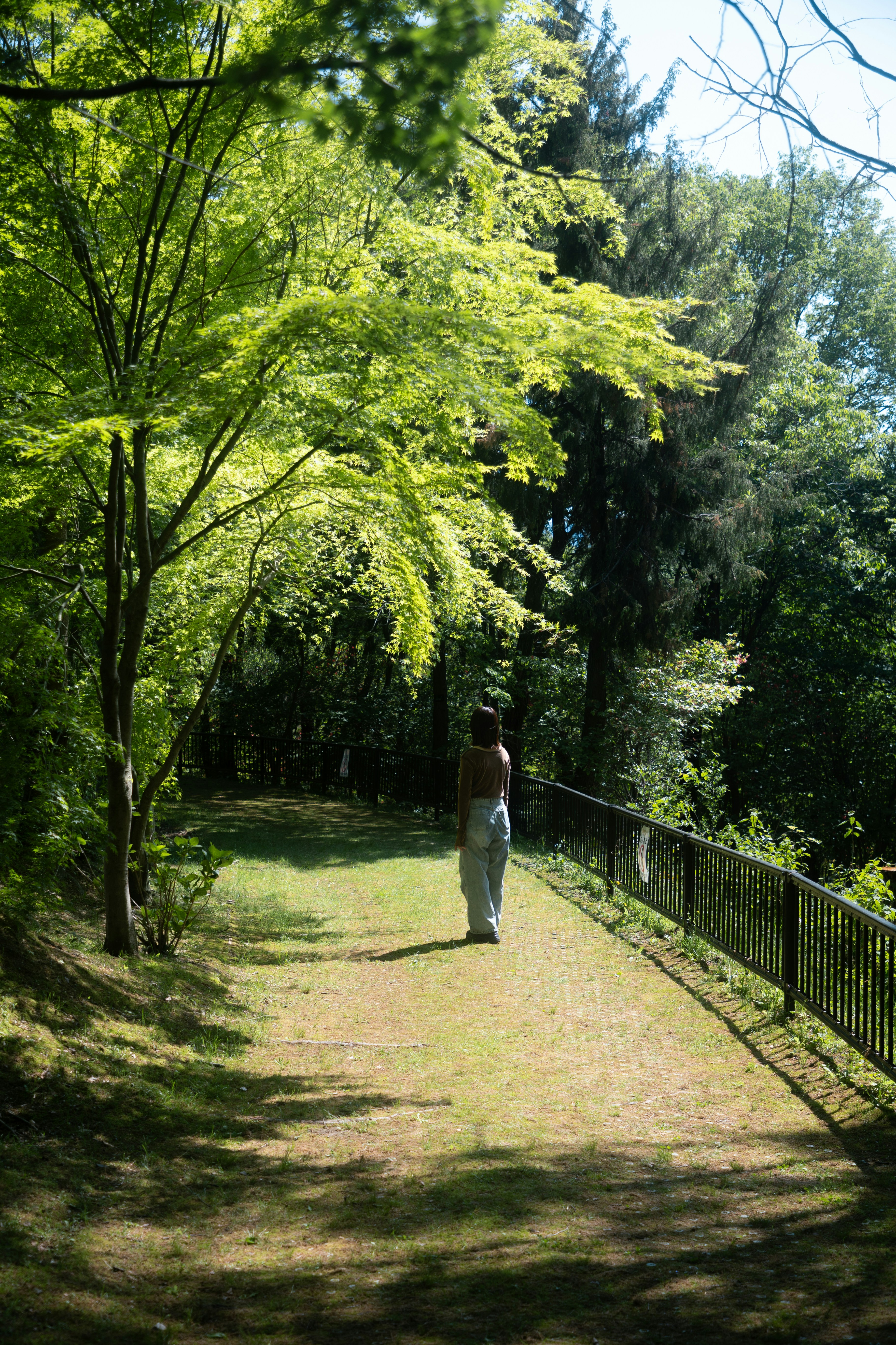 Photo by gakusuyama