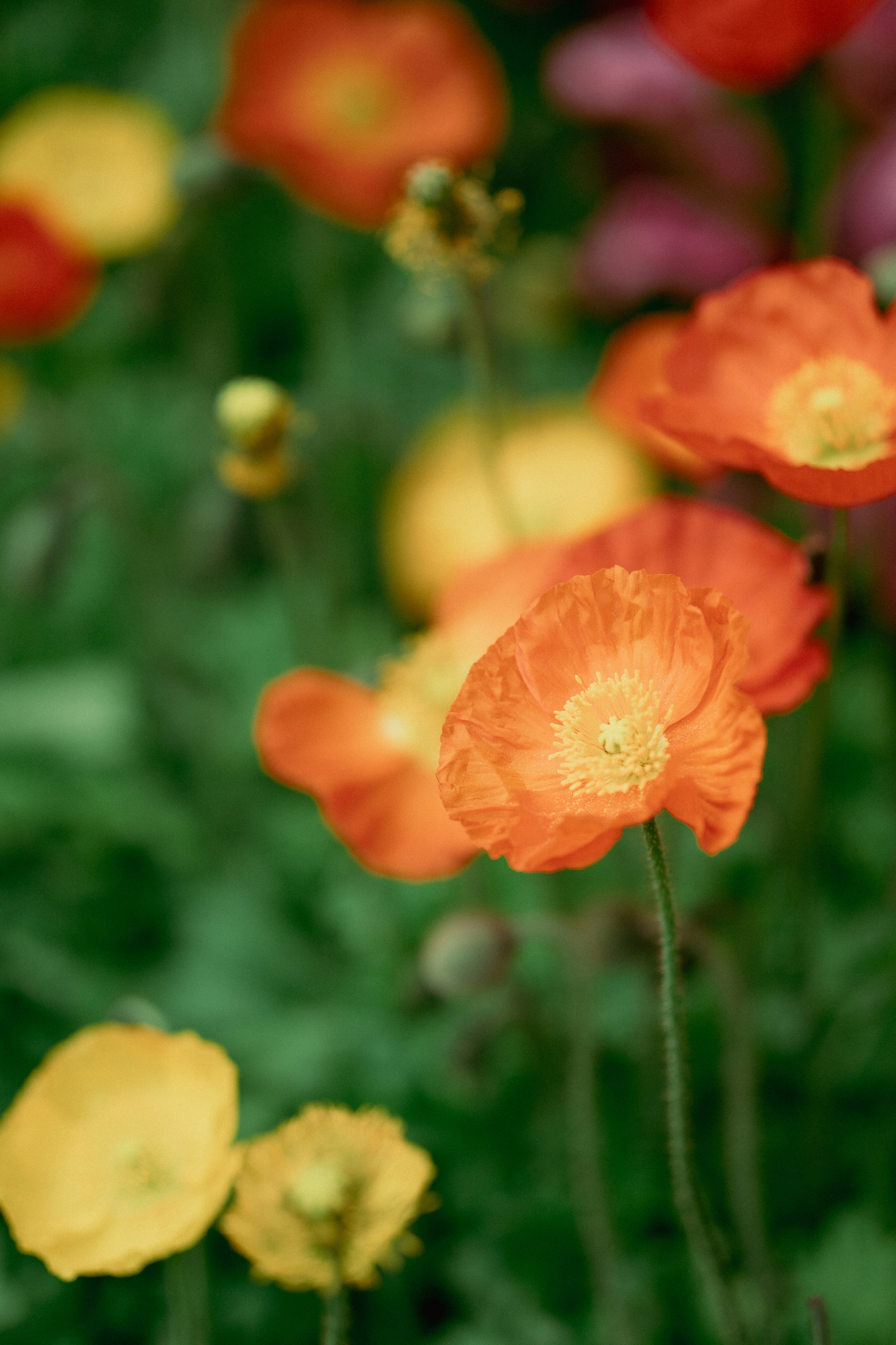 Photo by wwwawphoto