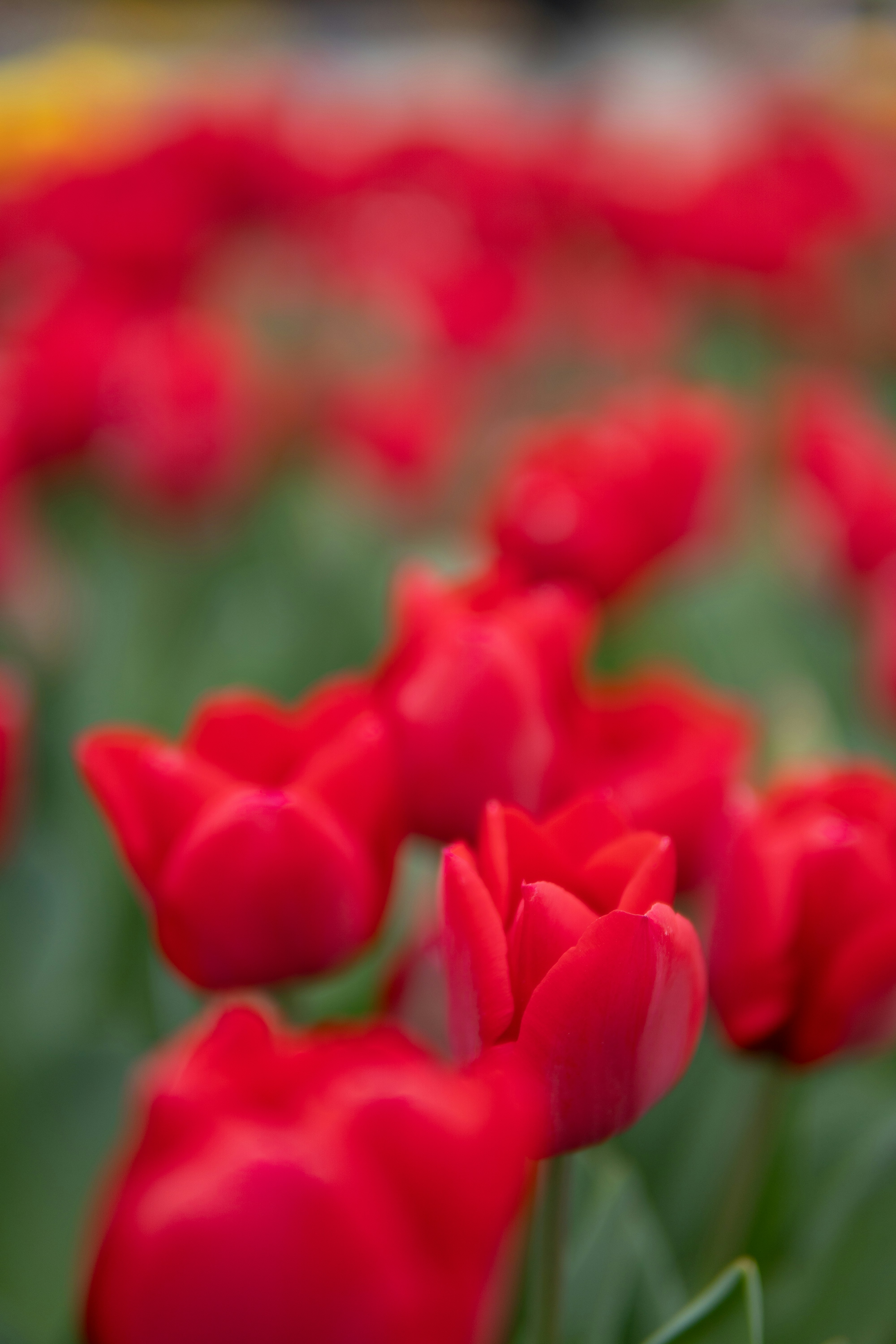 Photo by wwwawphoto