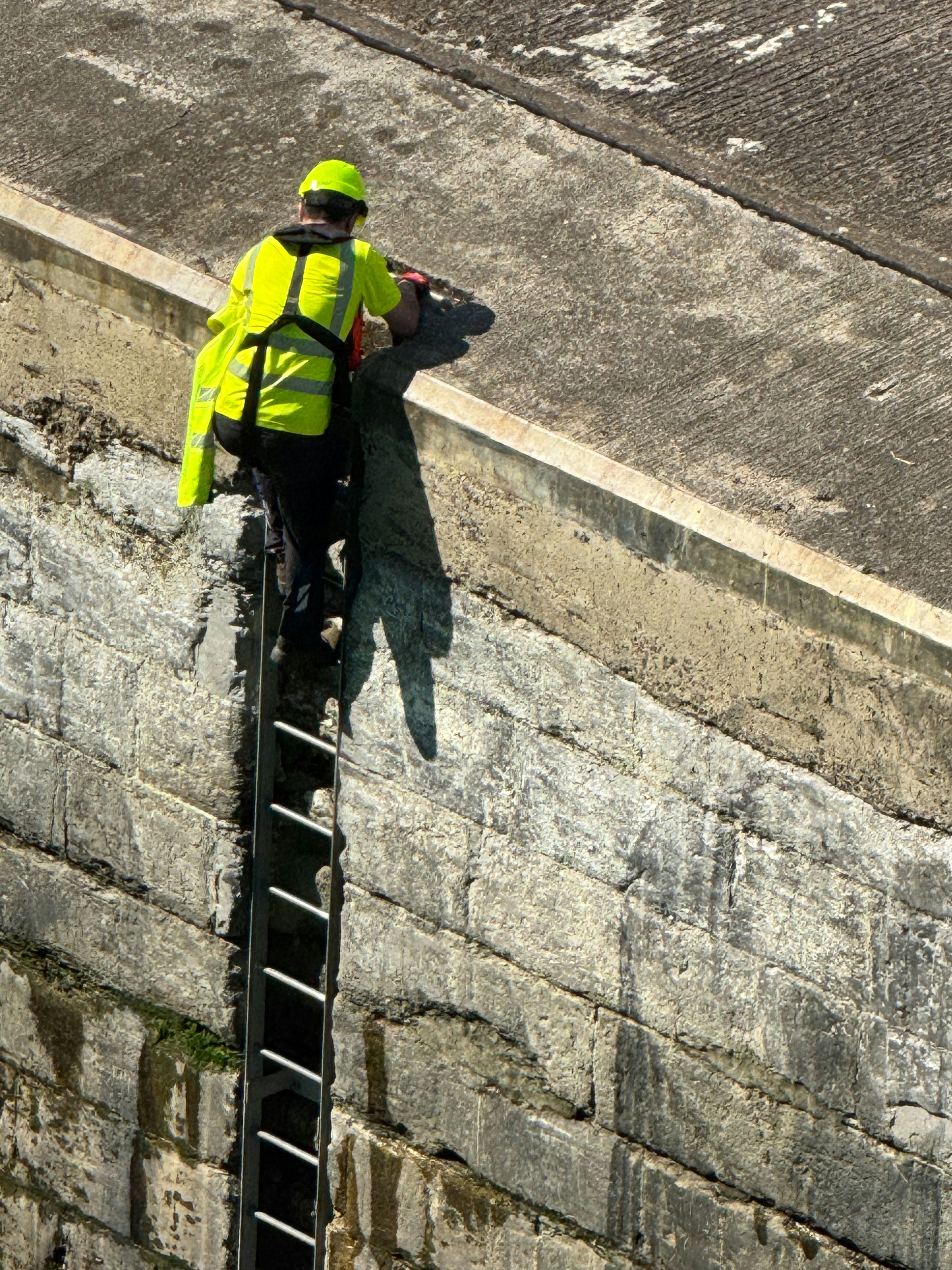 Worker on the docks 2
