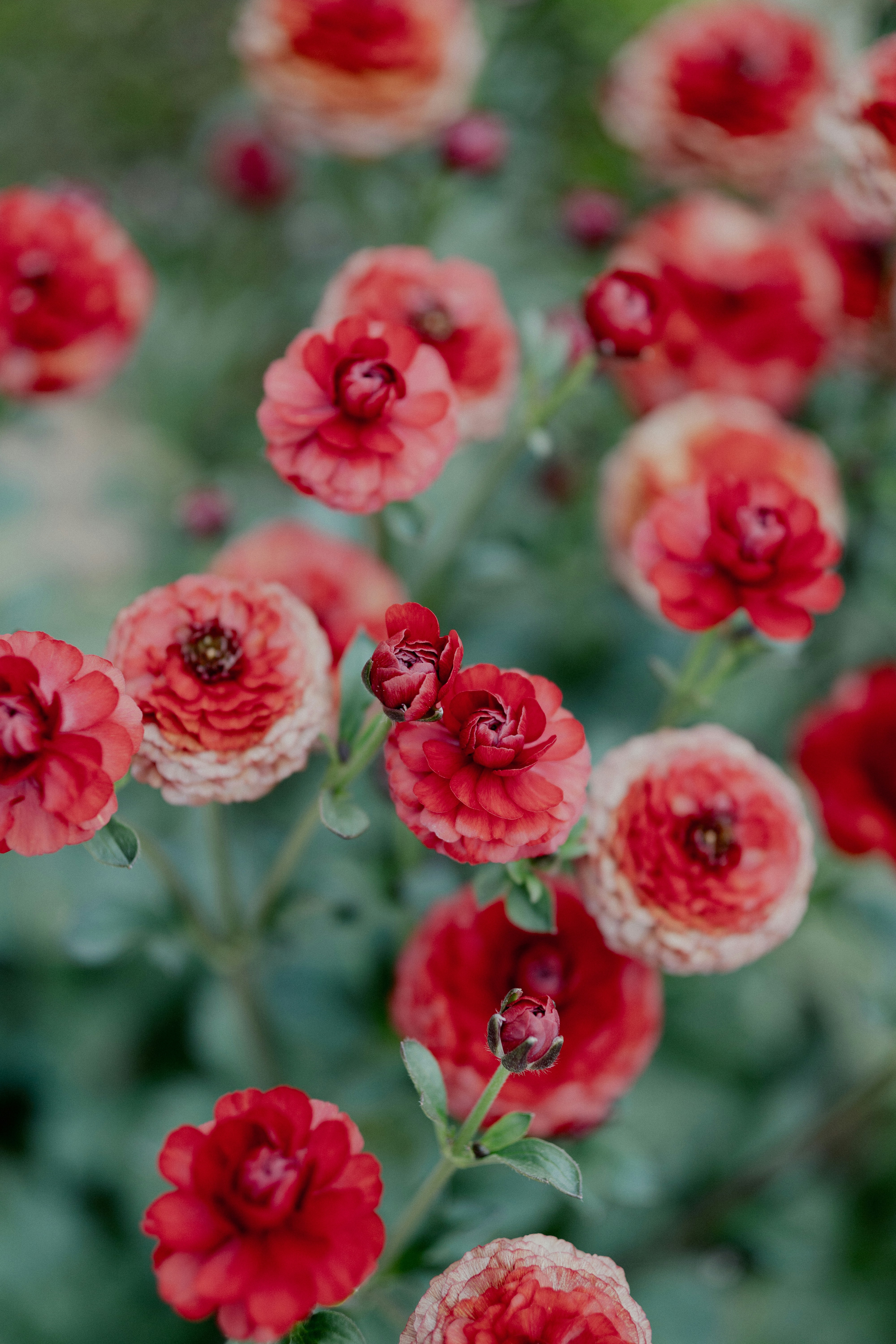 Photo by wwwawphoto