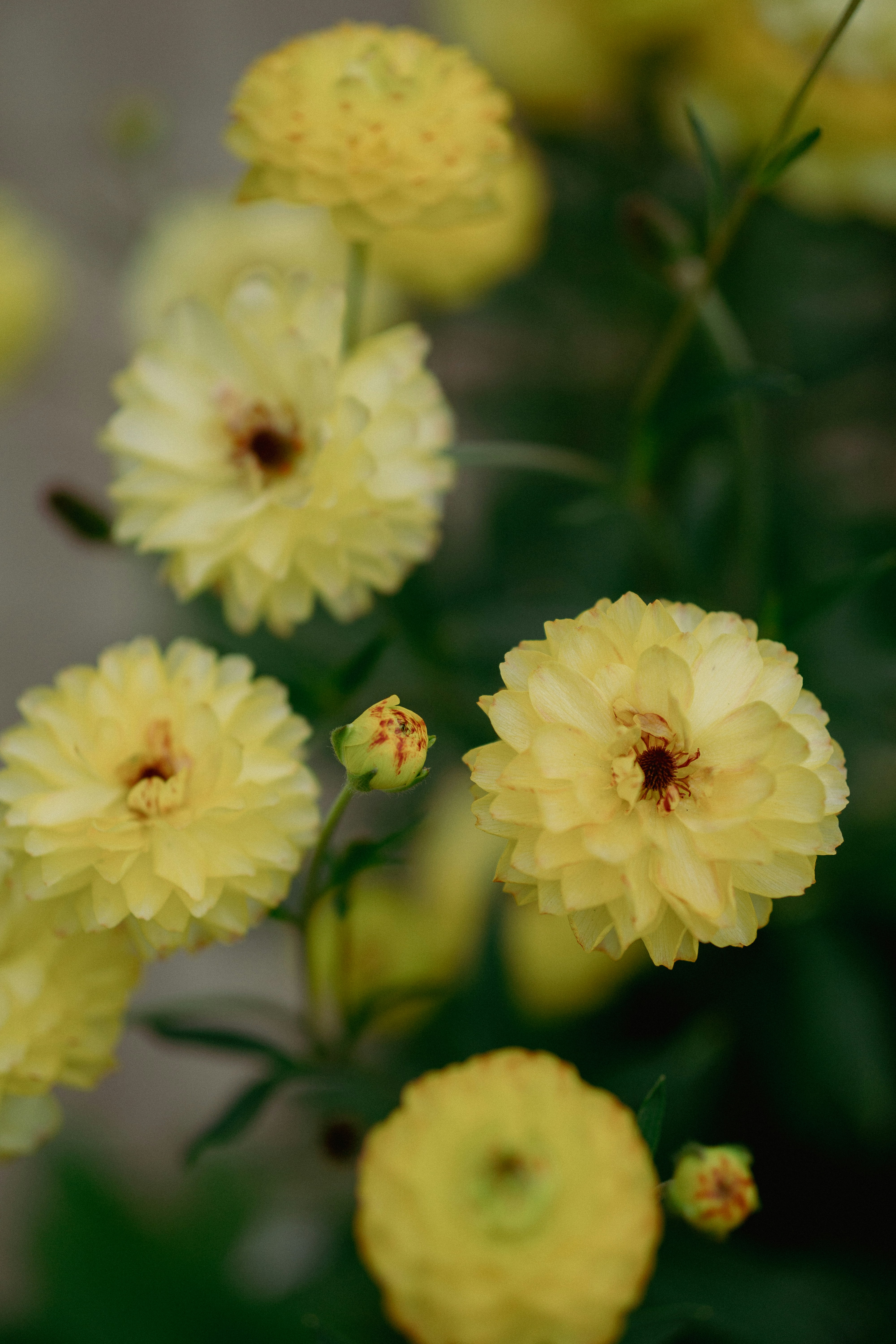 Photo by wwwawphoto