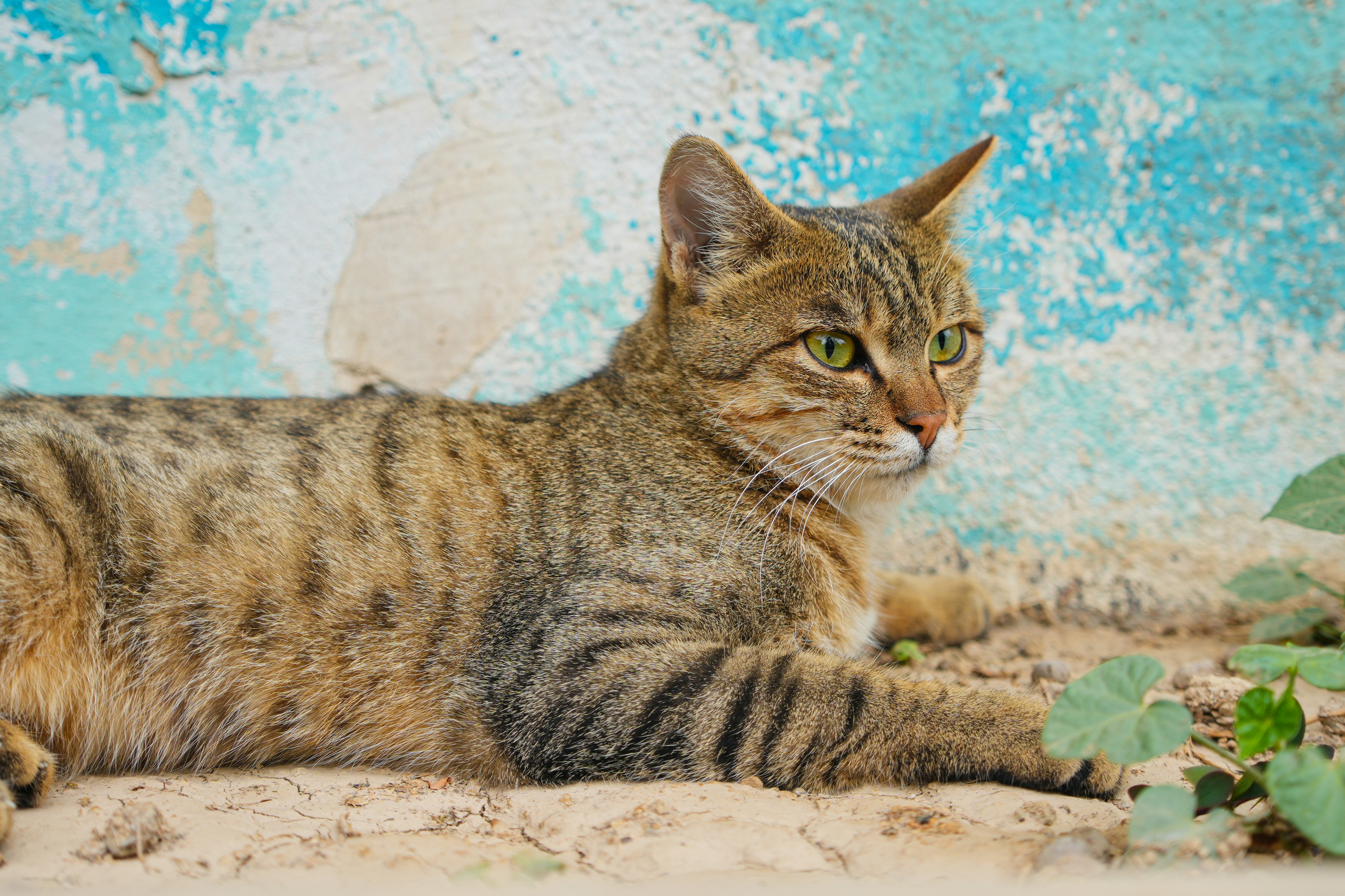 Photo by smohammadmeshkat