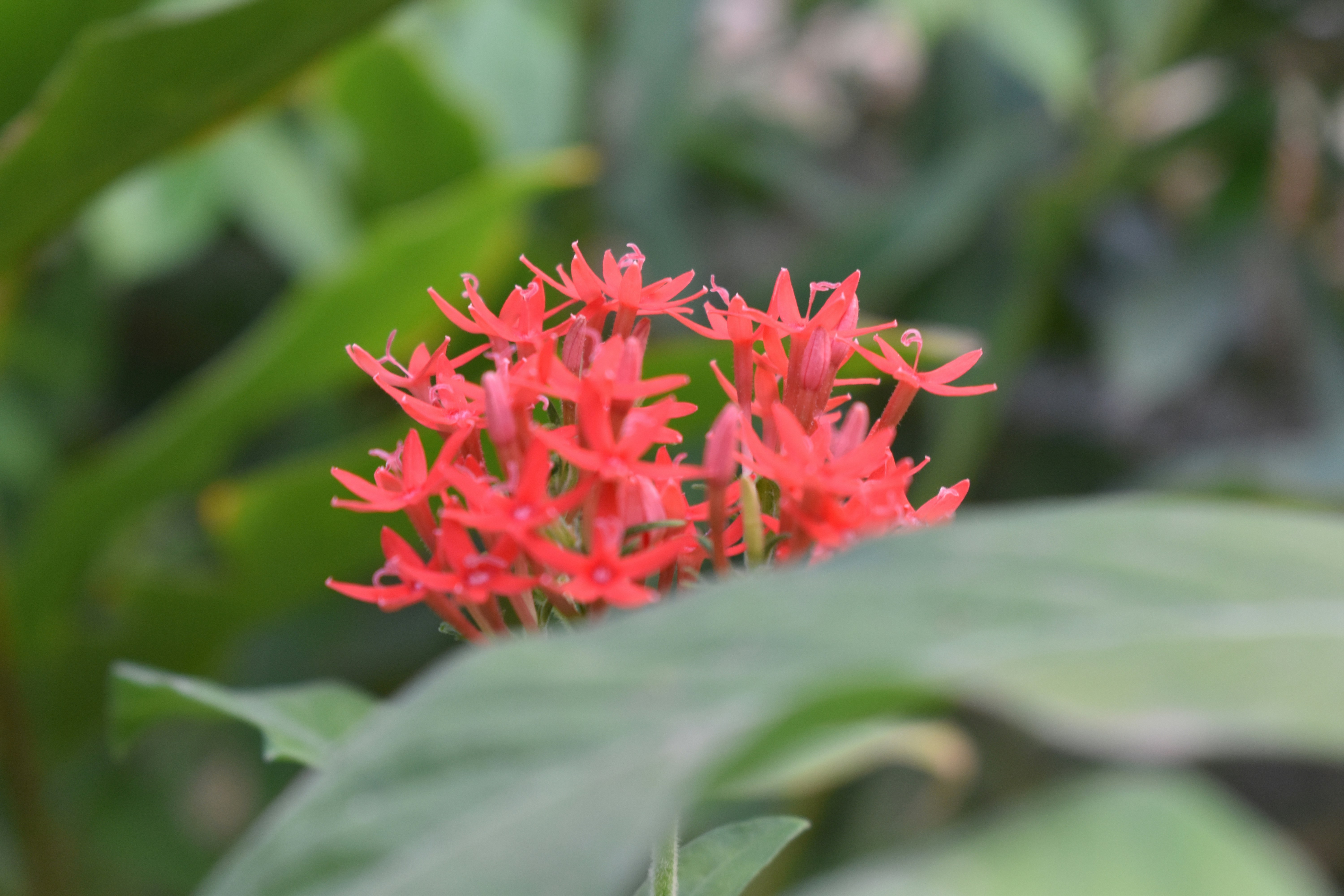 Photo by harveyspecter07