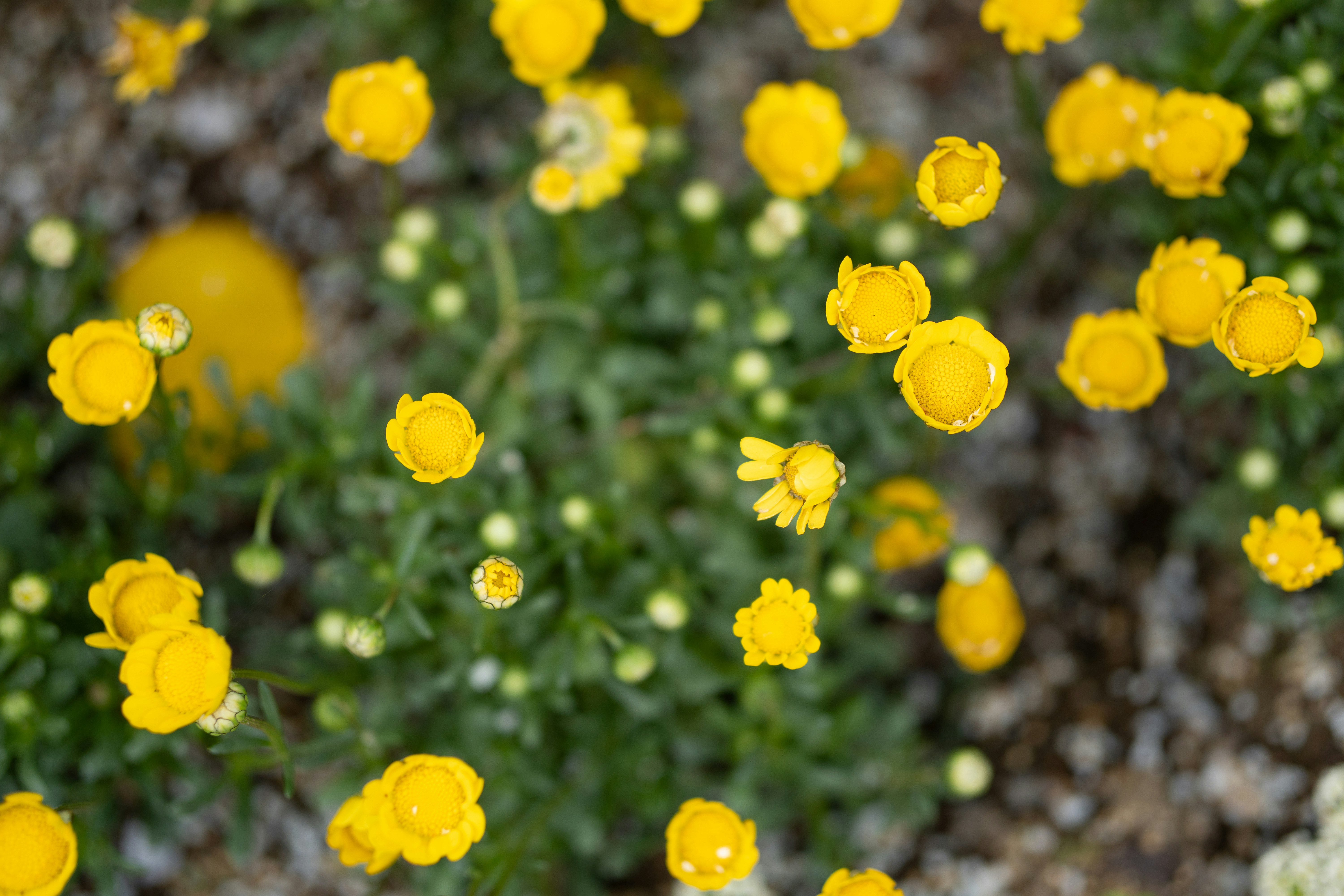 Photo by wwwawphoto