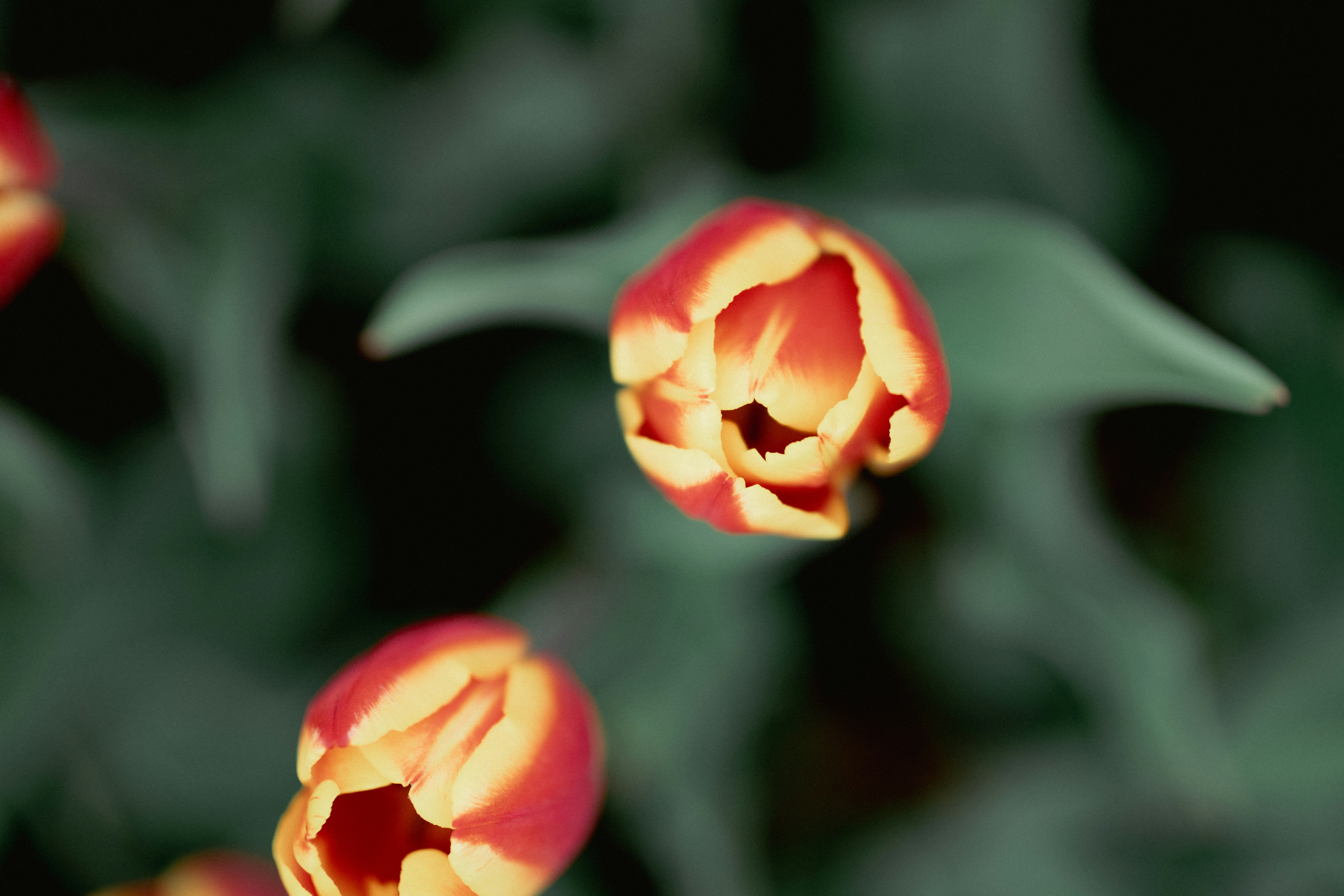 Photo by wwwawphoto
