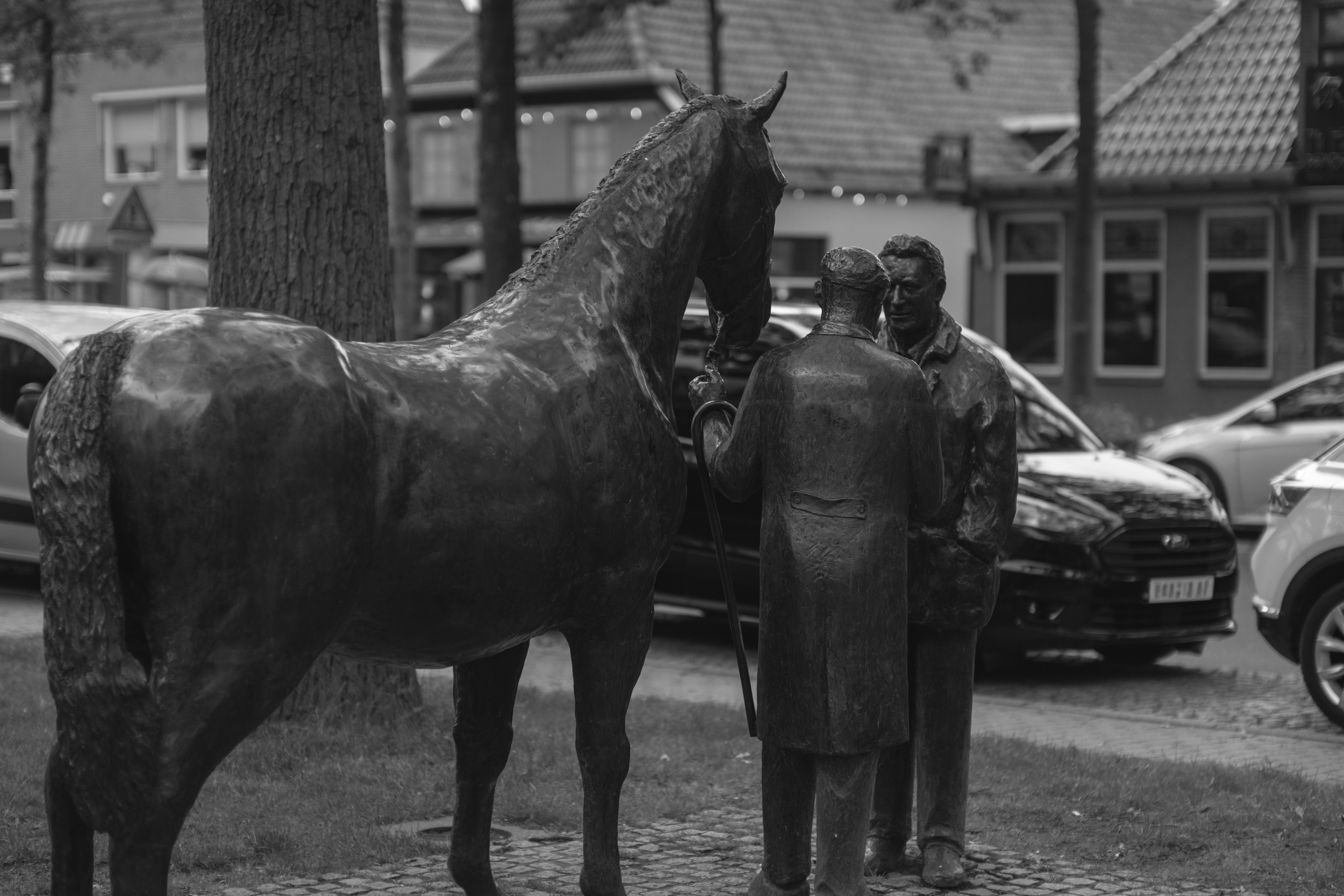 Photo by haberdoedas