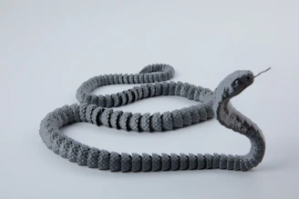 A gray snake with its tongue sticking out.