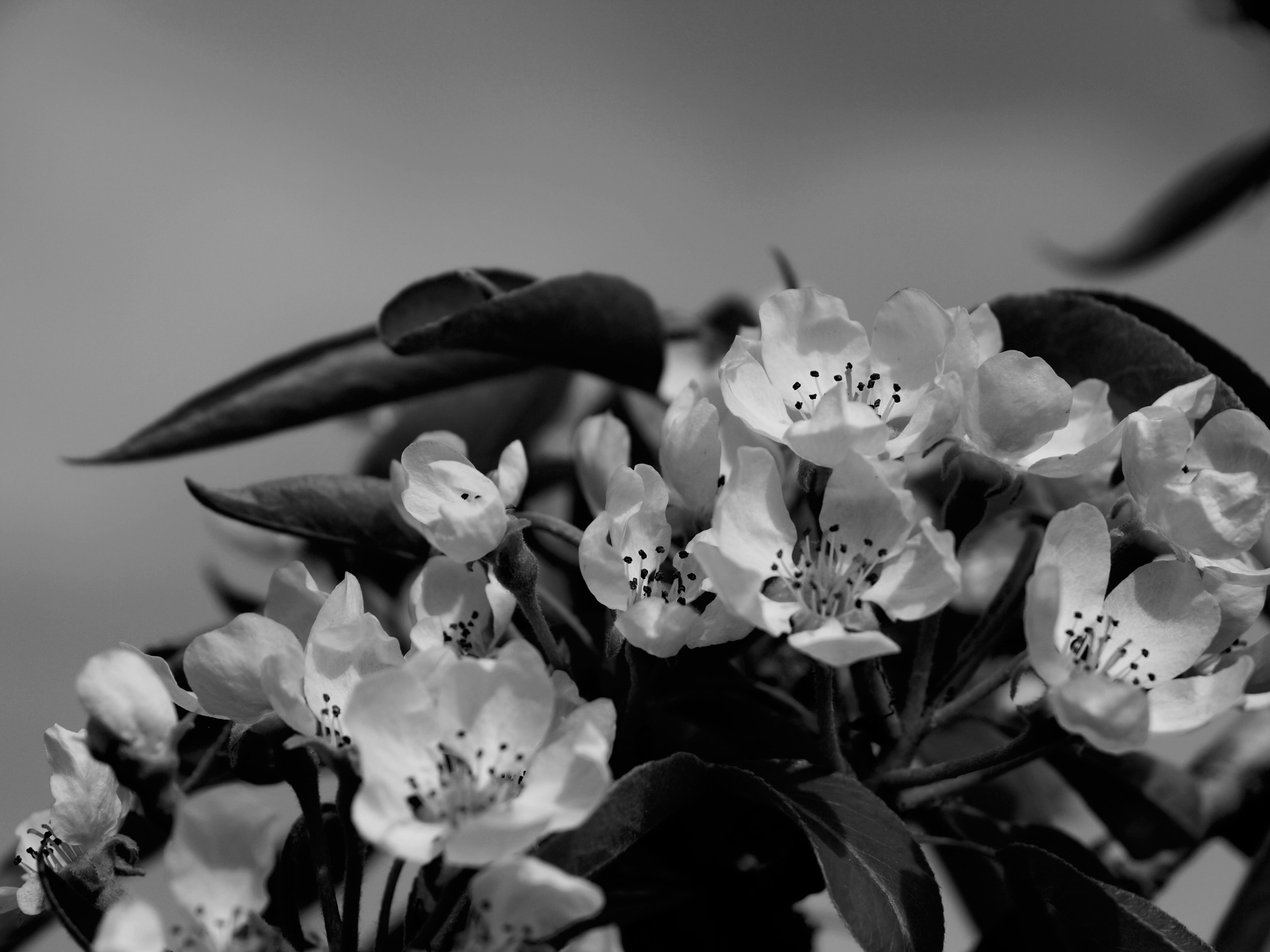 Photo by myworldisblue