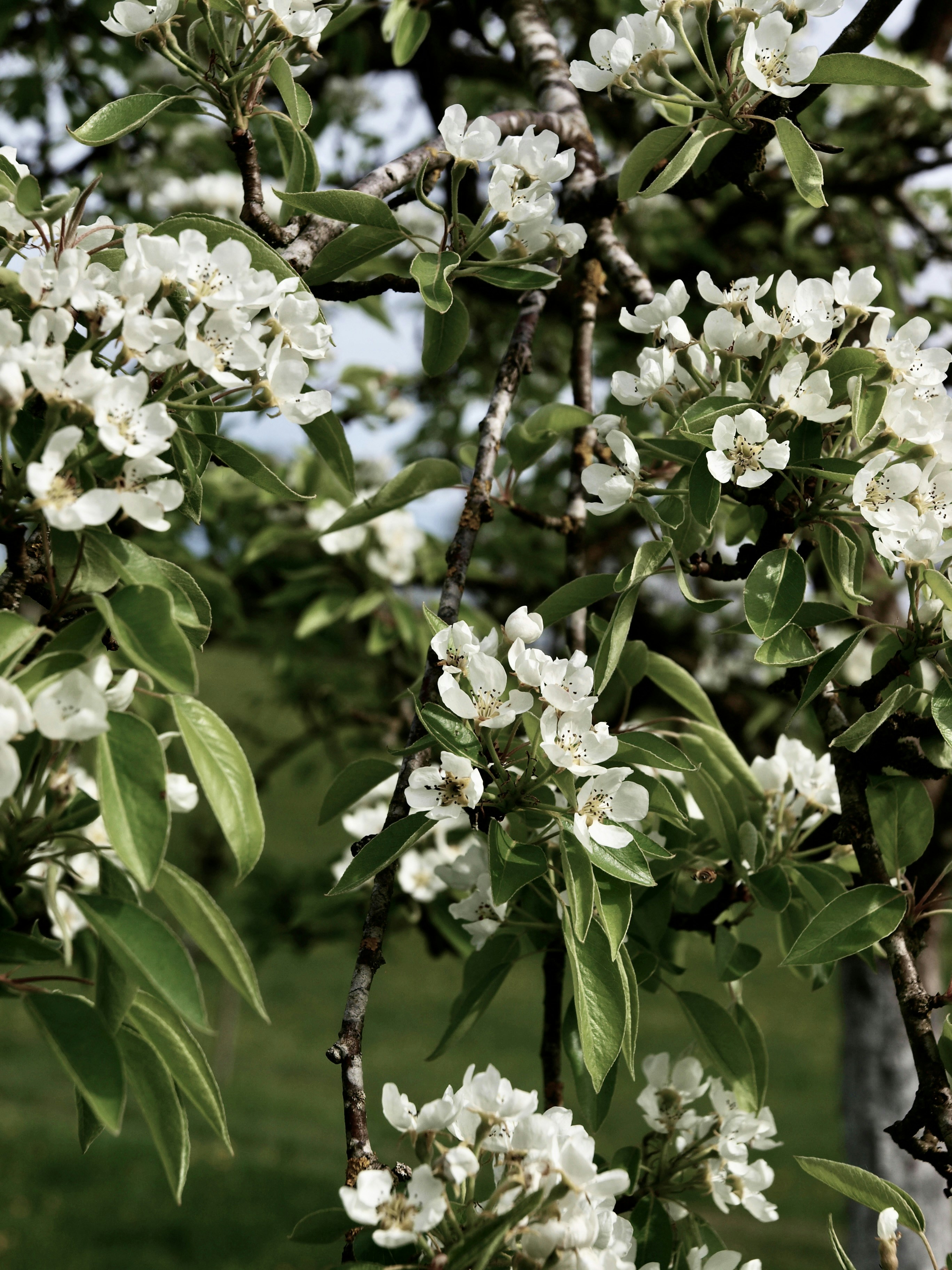 Photo by myworldisblue