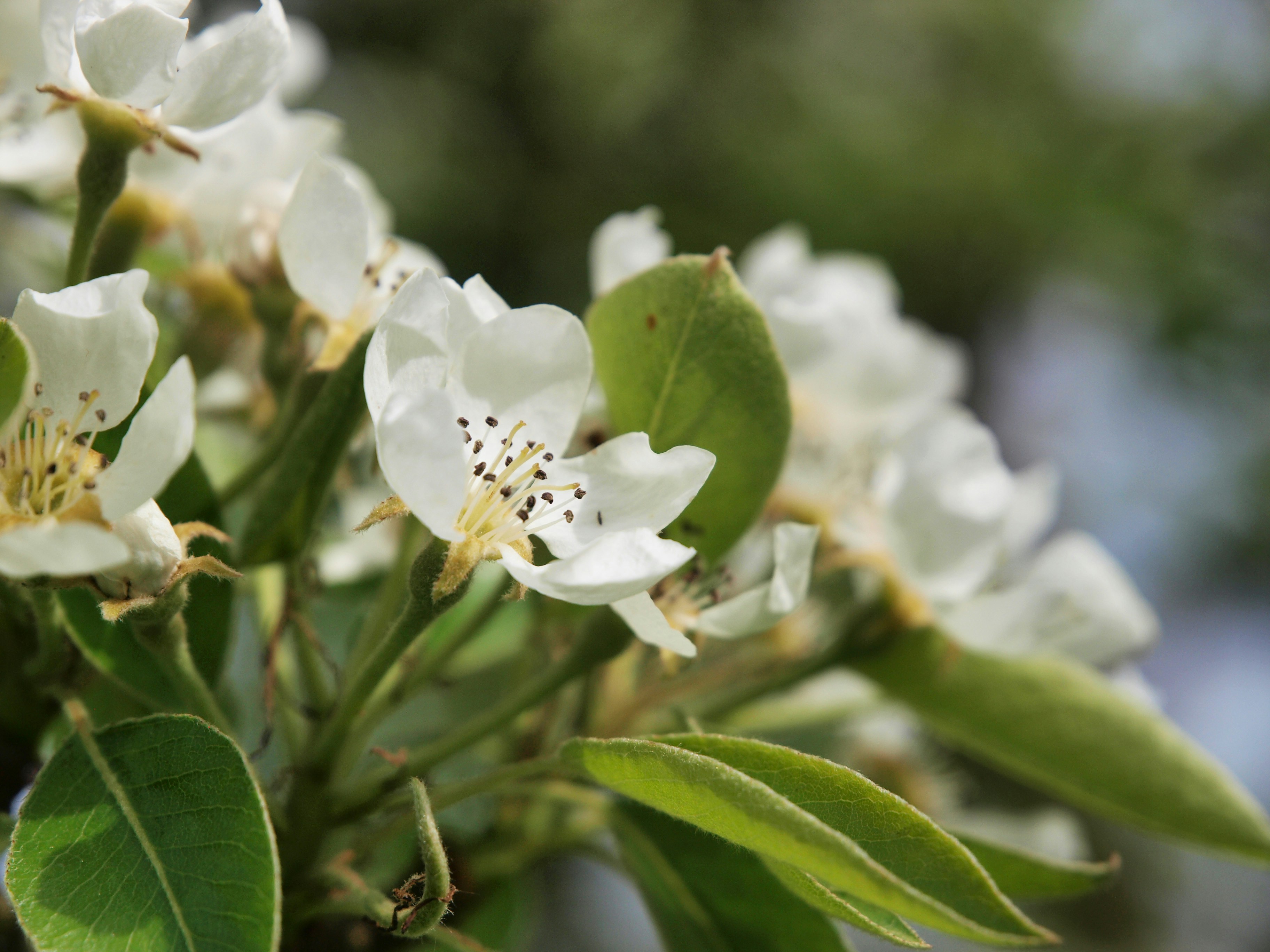 Photo by myworldisblue