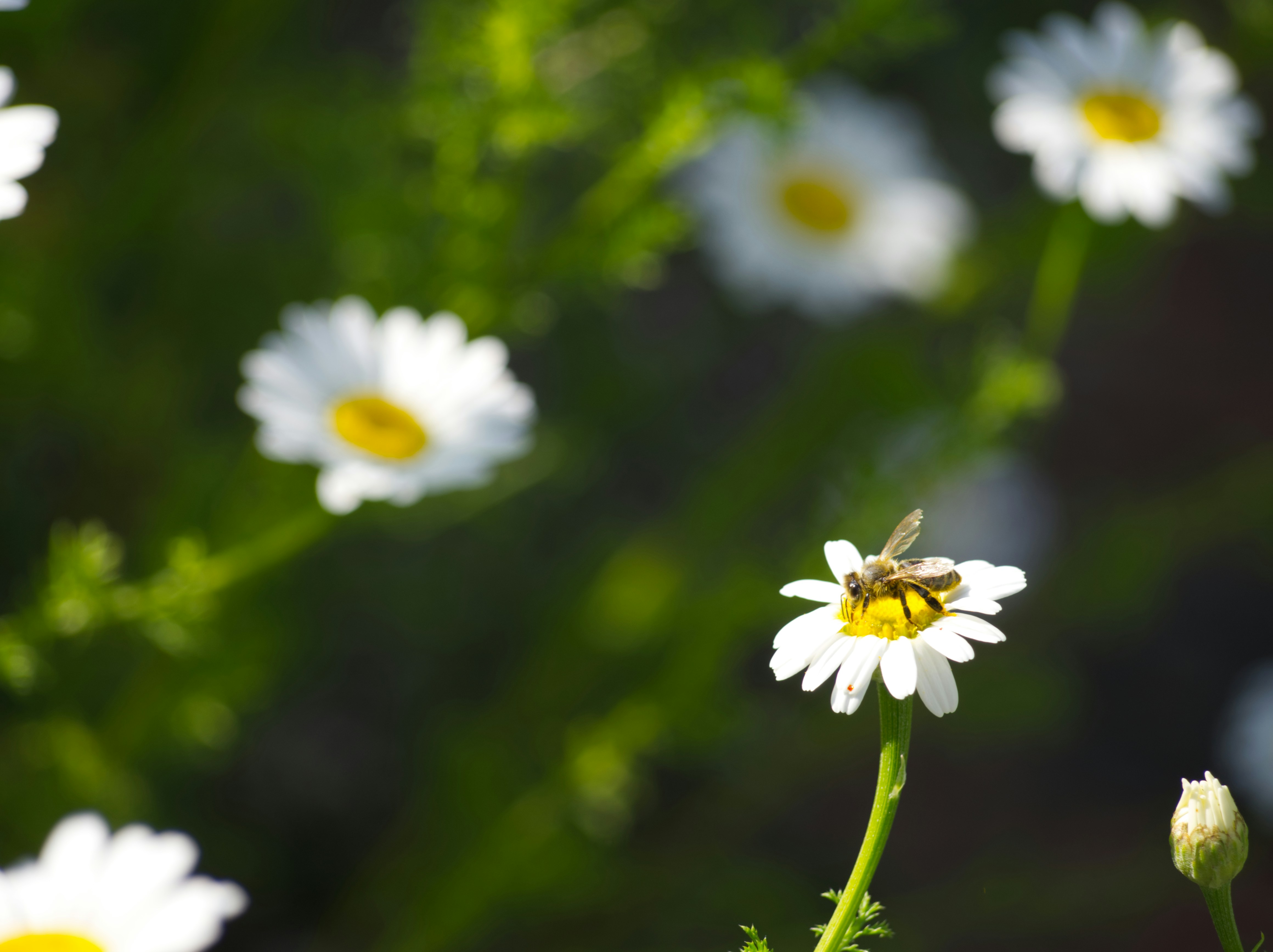 Photo by theskytales