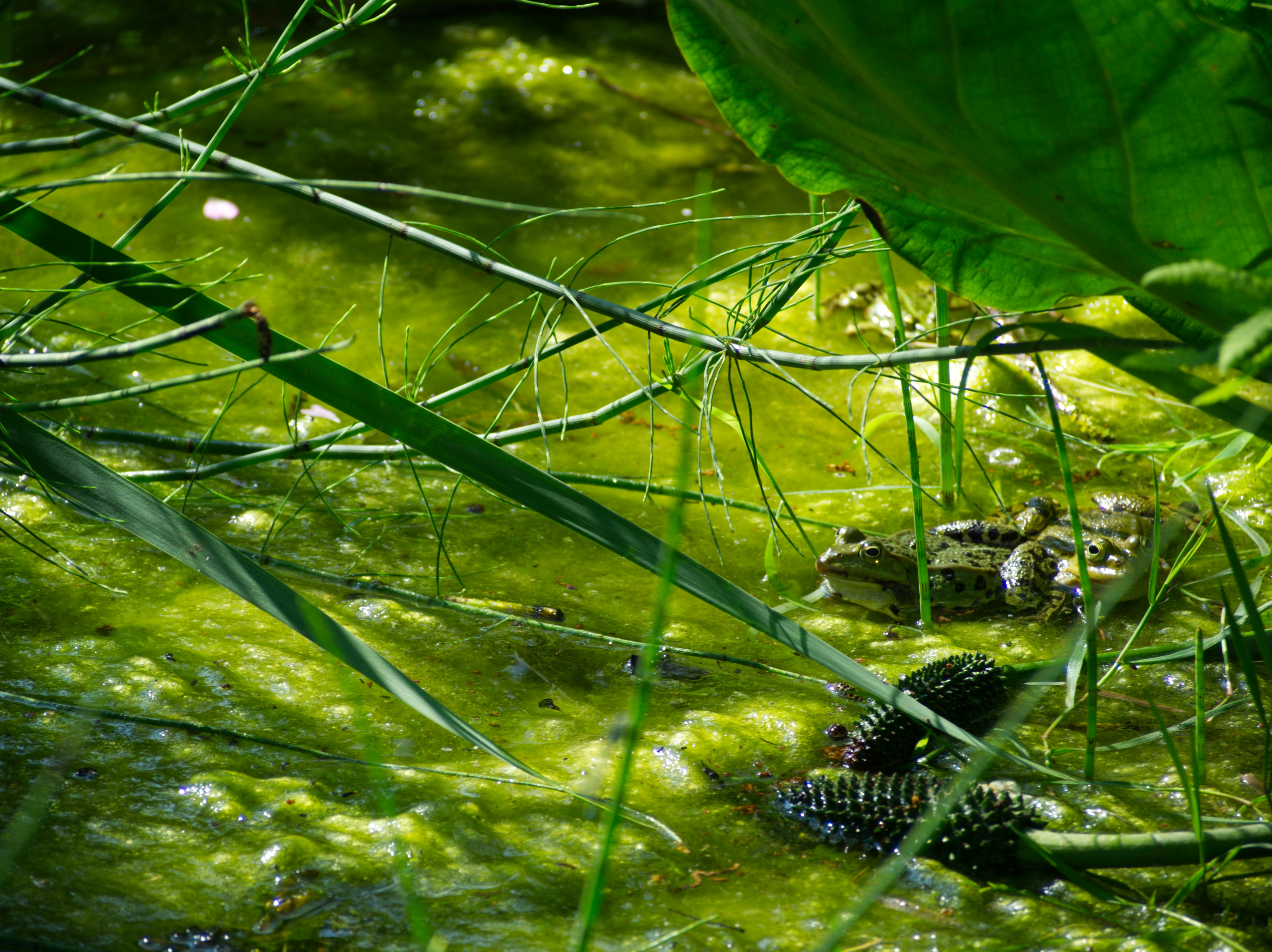 Photo by theskytales