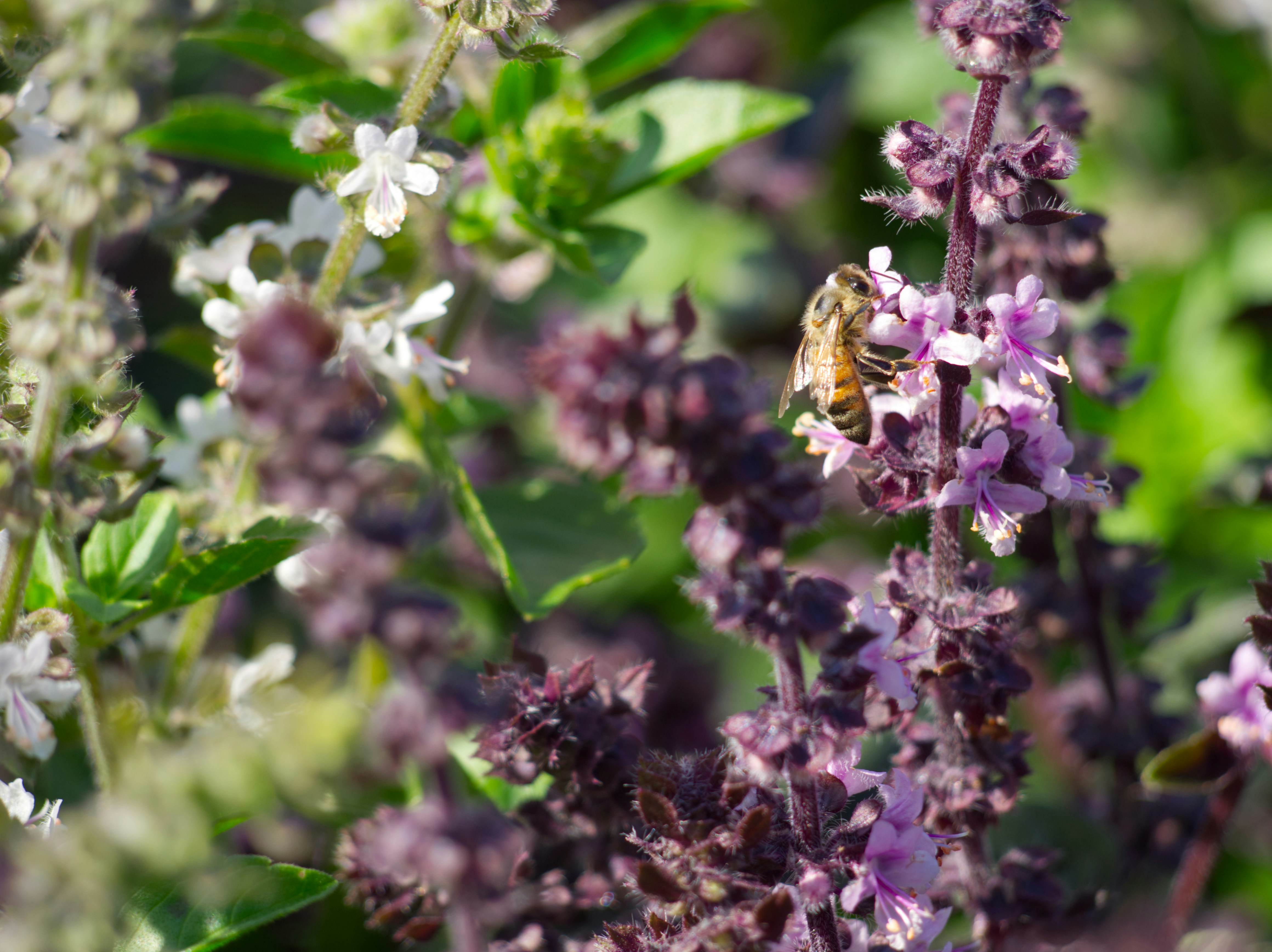 Photo by theskytales