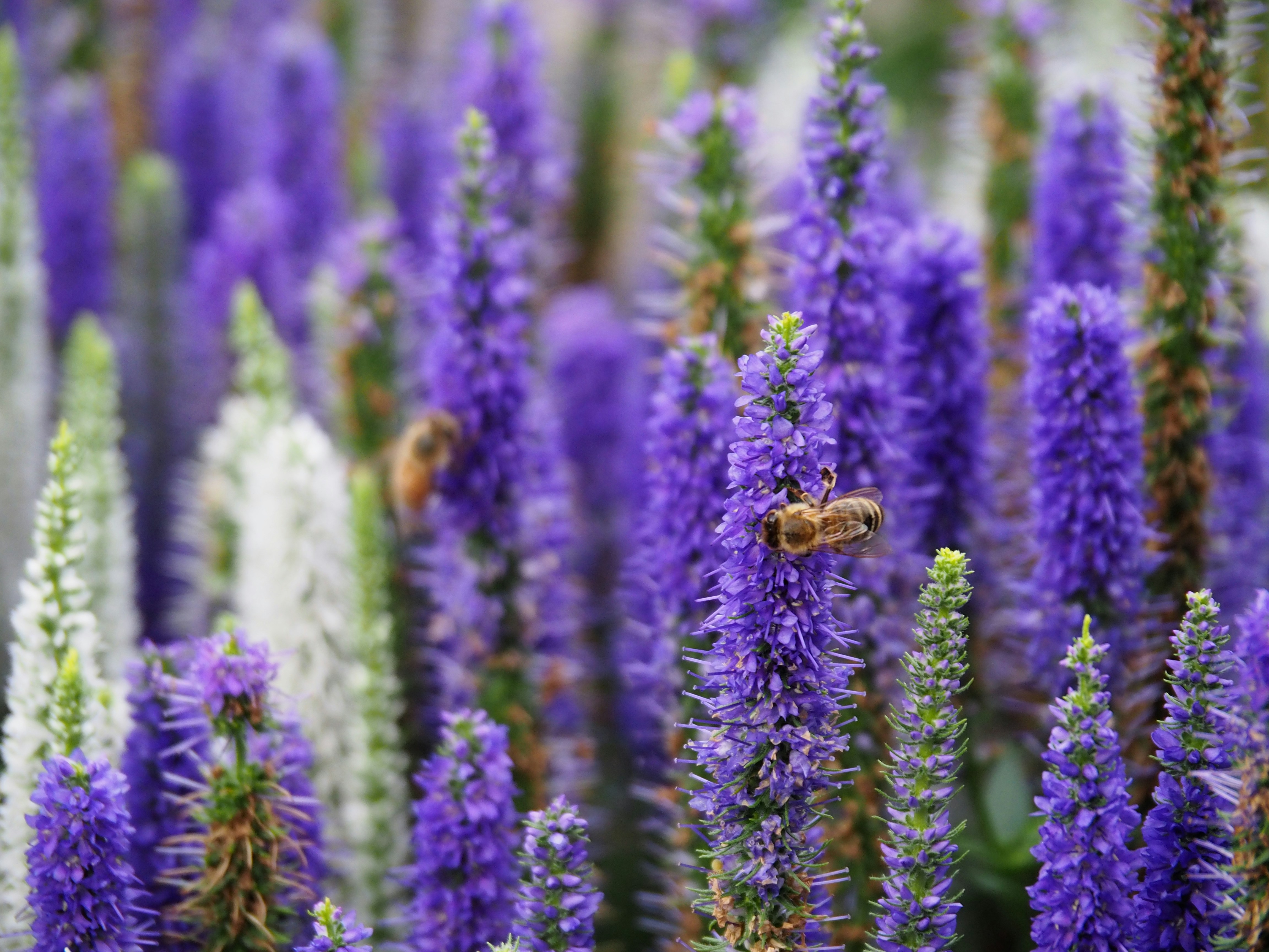 Photo by theskytales