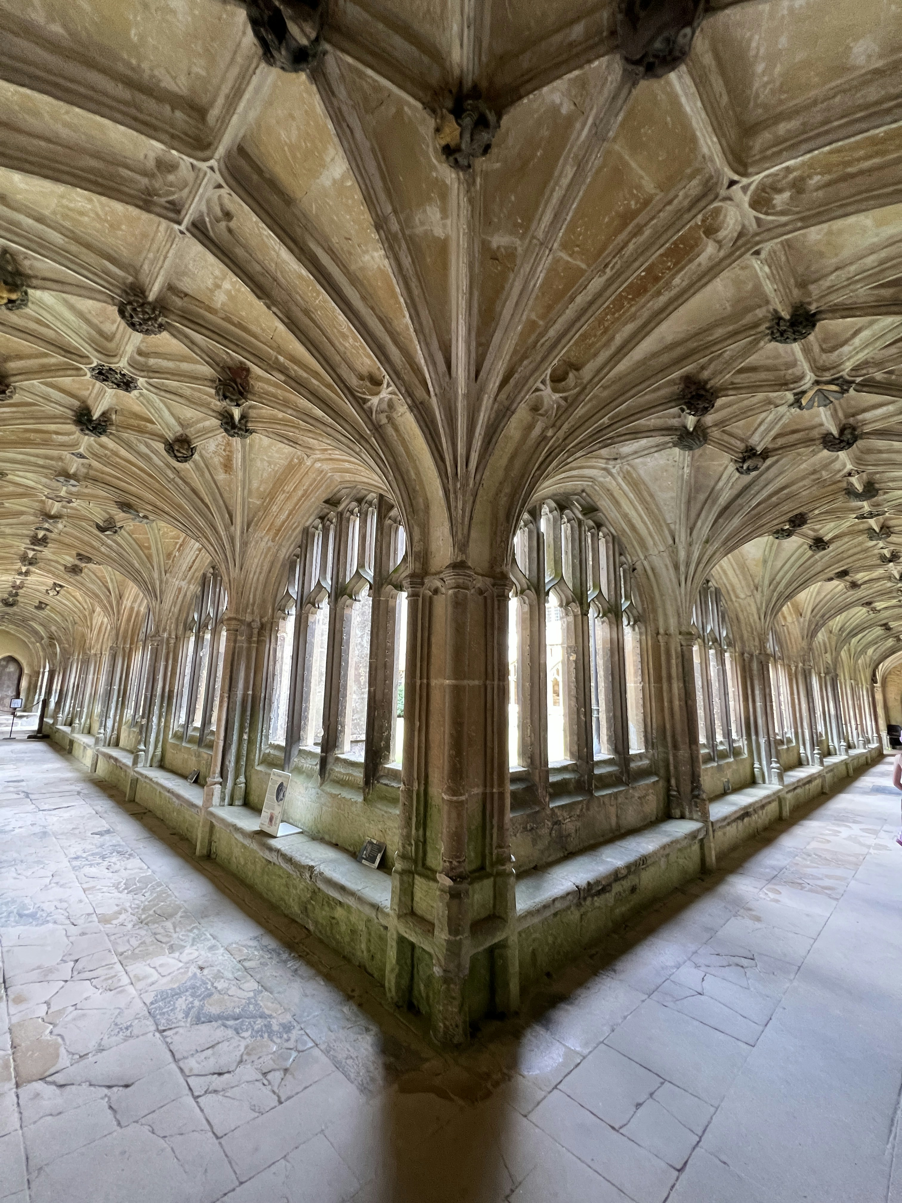 Photo by tanyabarrow