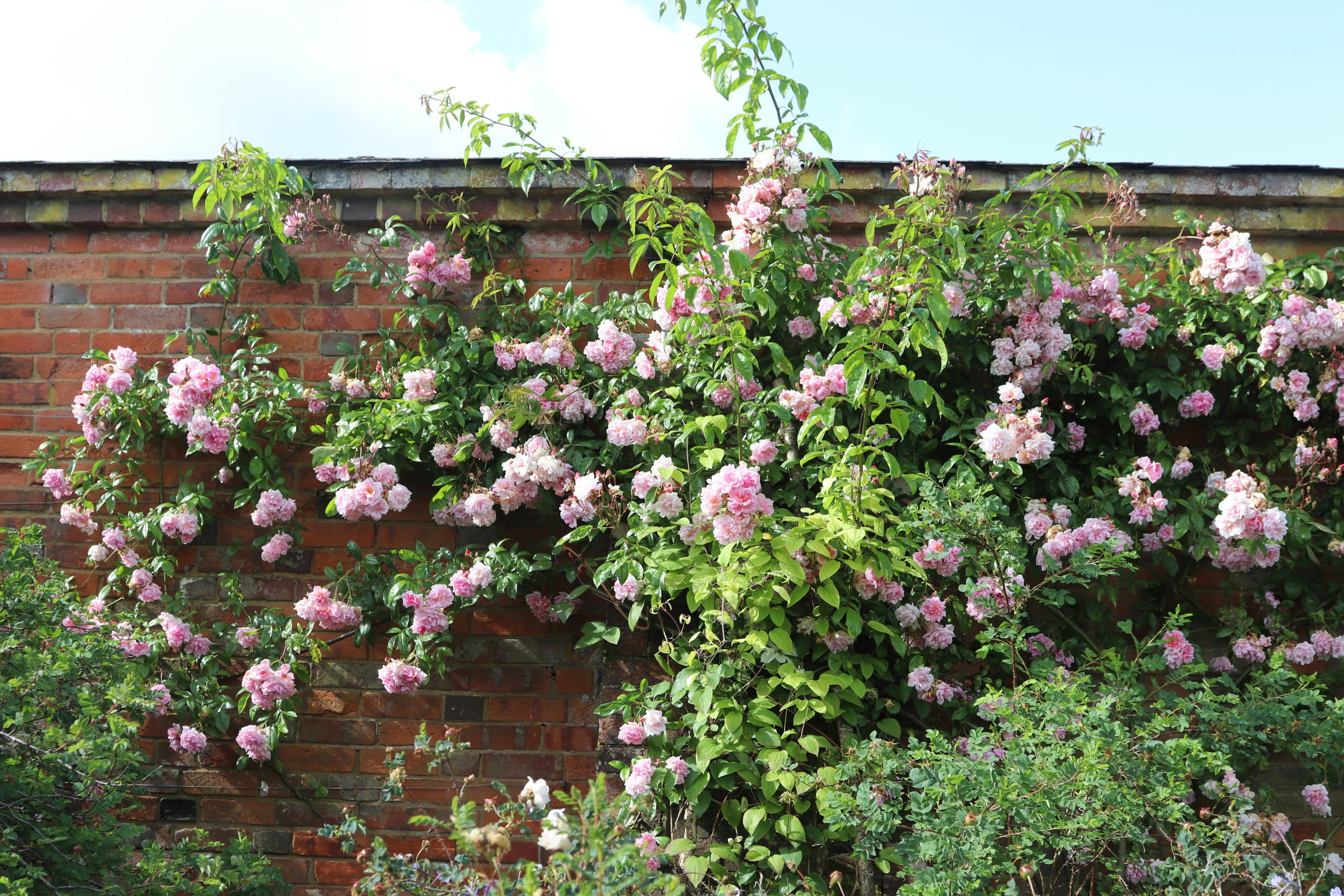 Photo by tanyabarrow