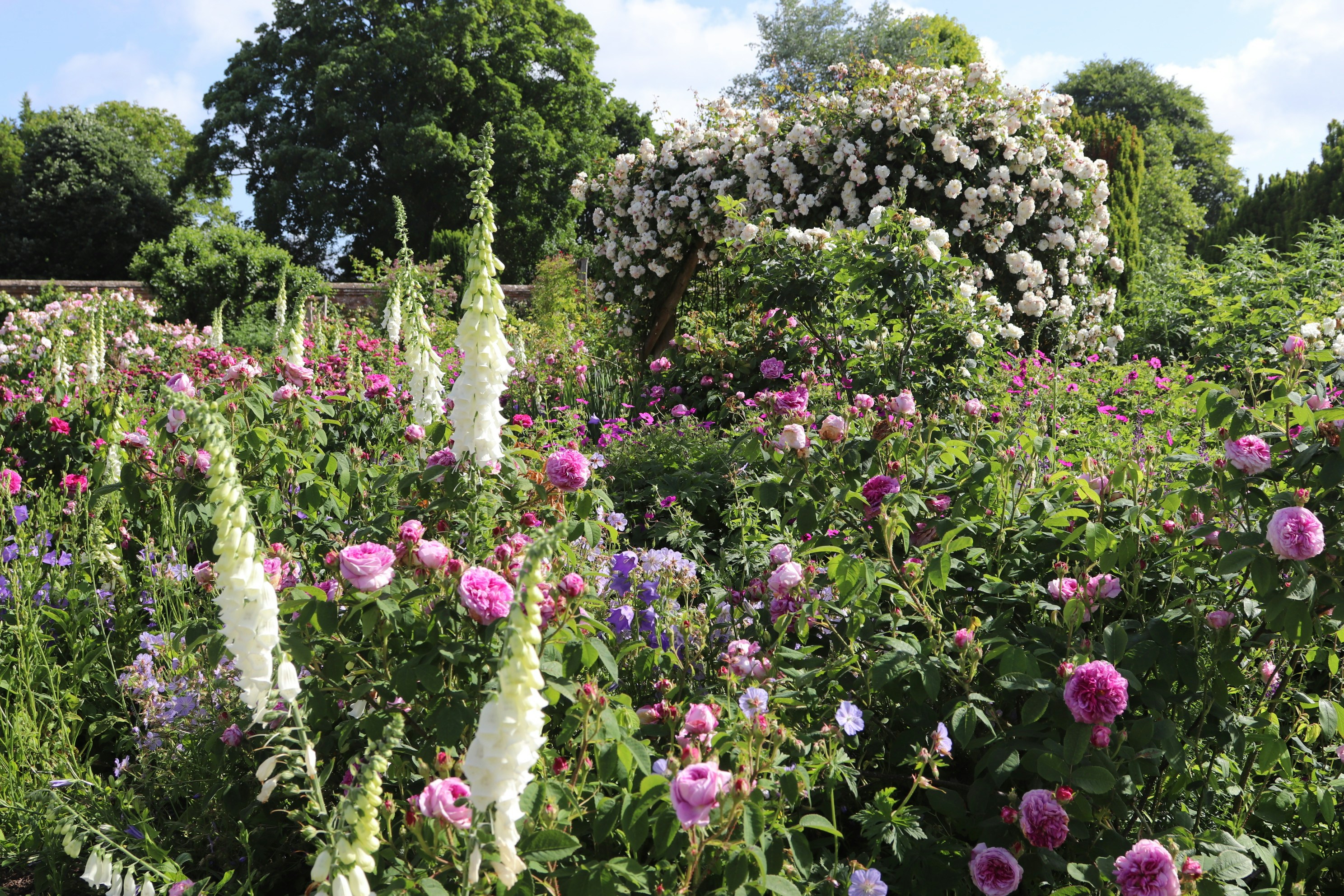 Photo by tanyabarrow