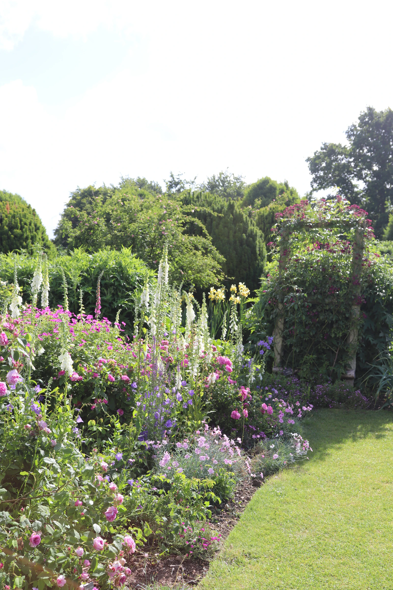 Healthy home garden with raised planting beds