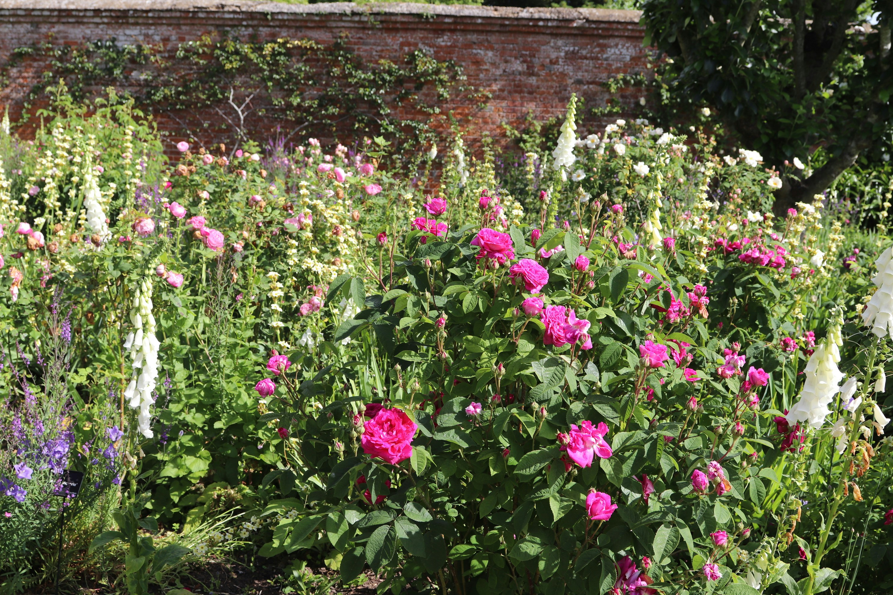 Photo by tanyabarrow