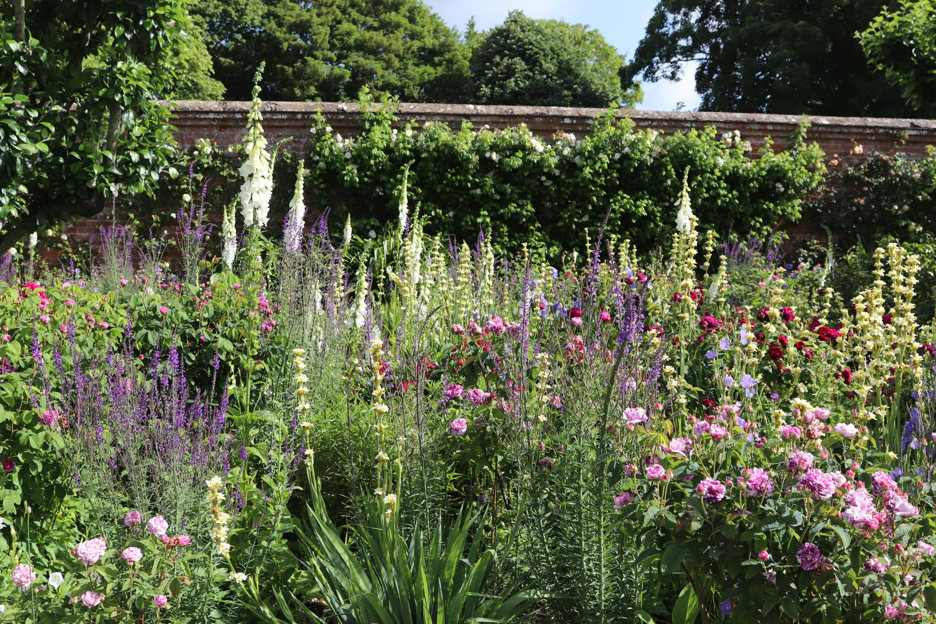 Photo by tanyabarrow