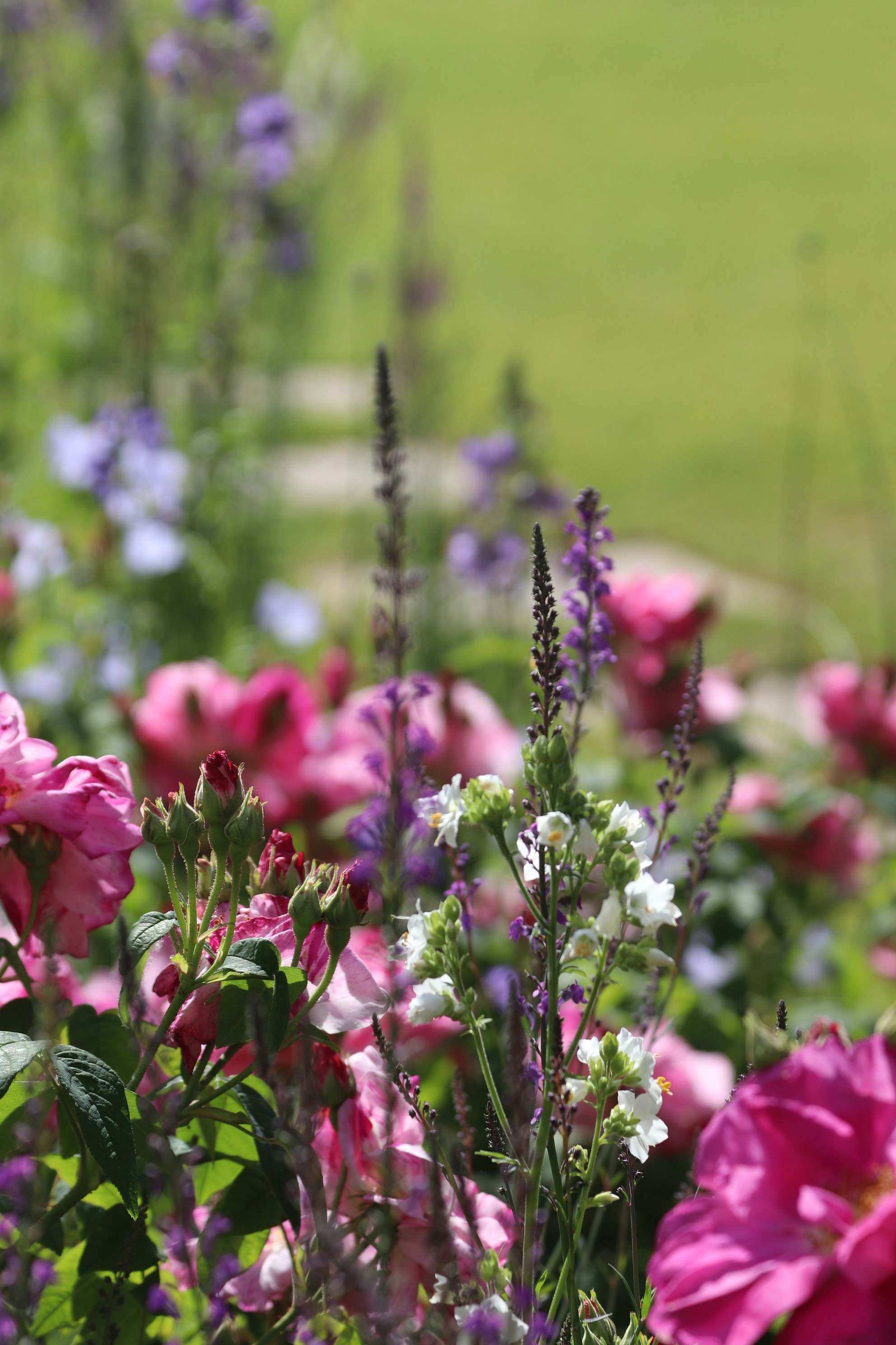 Photo by tanyabarrow