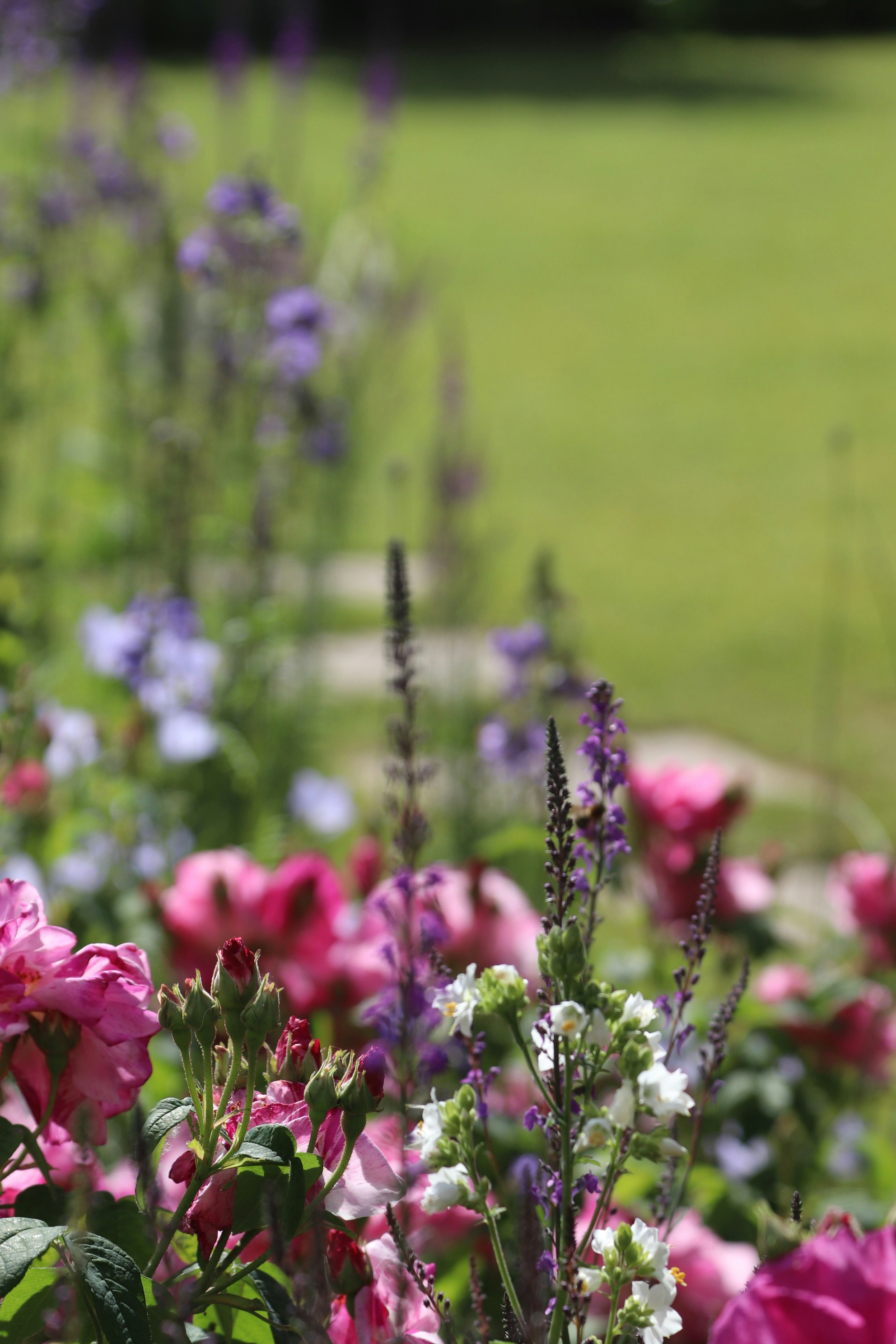 Photo by tanyabarrow