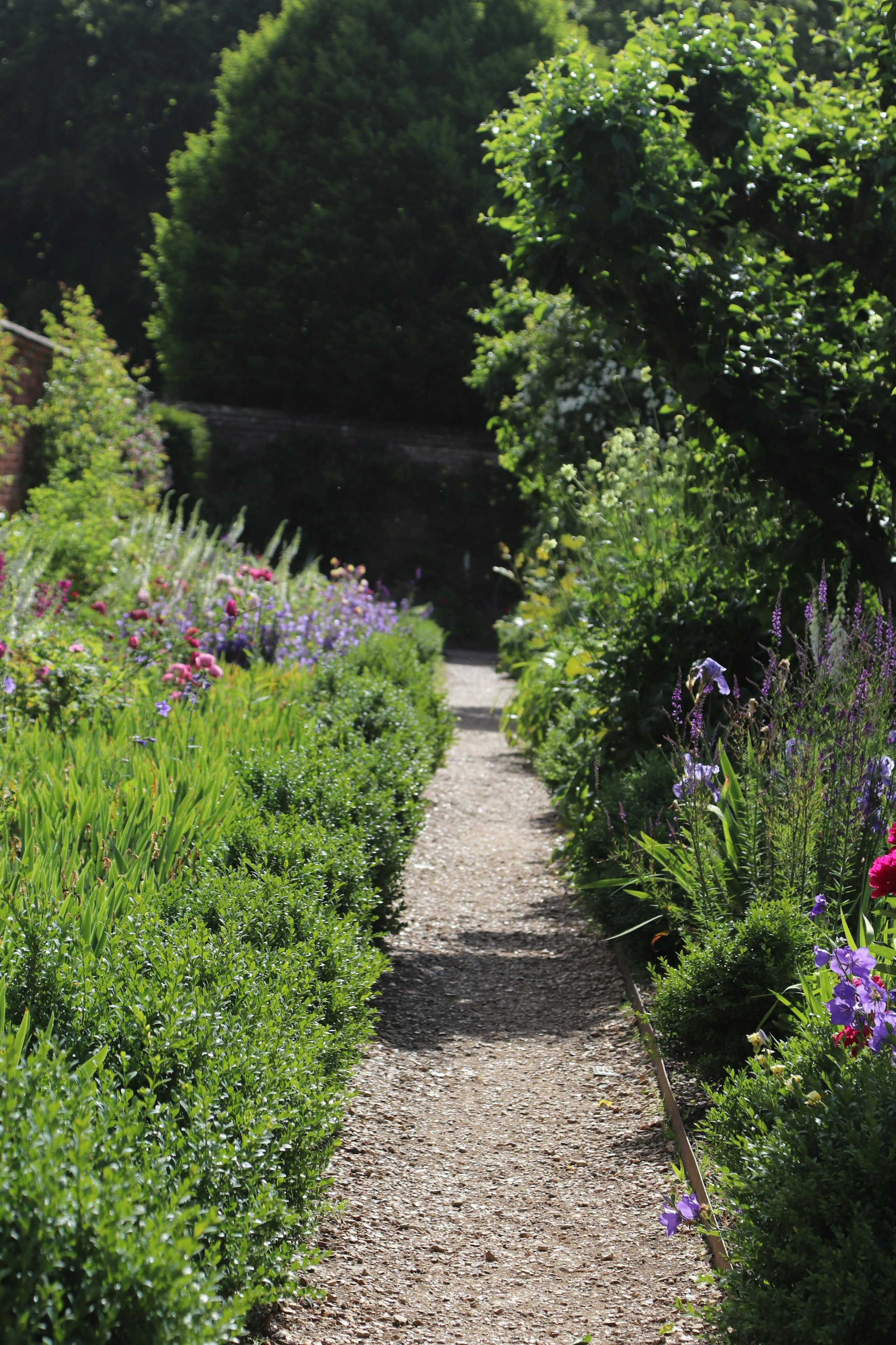 Photo by tanyabarrow