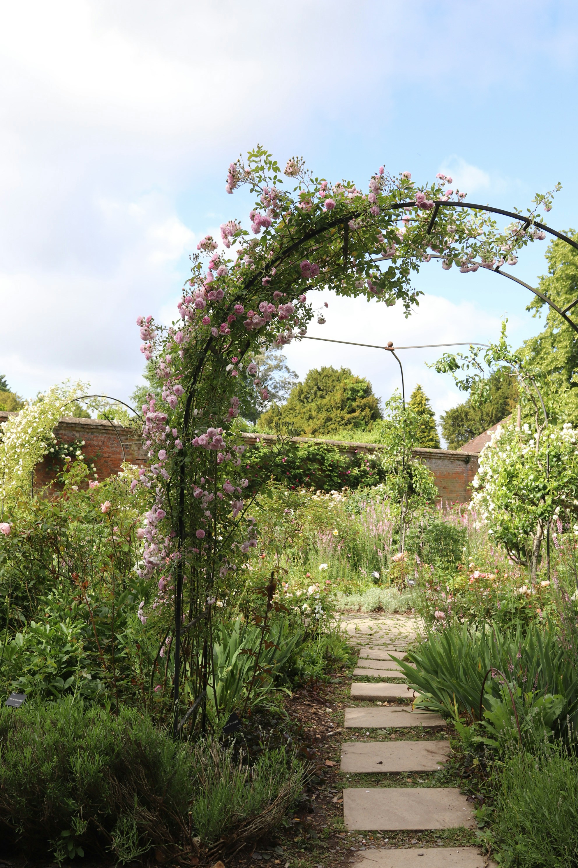 Photo by tanyabarrow