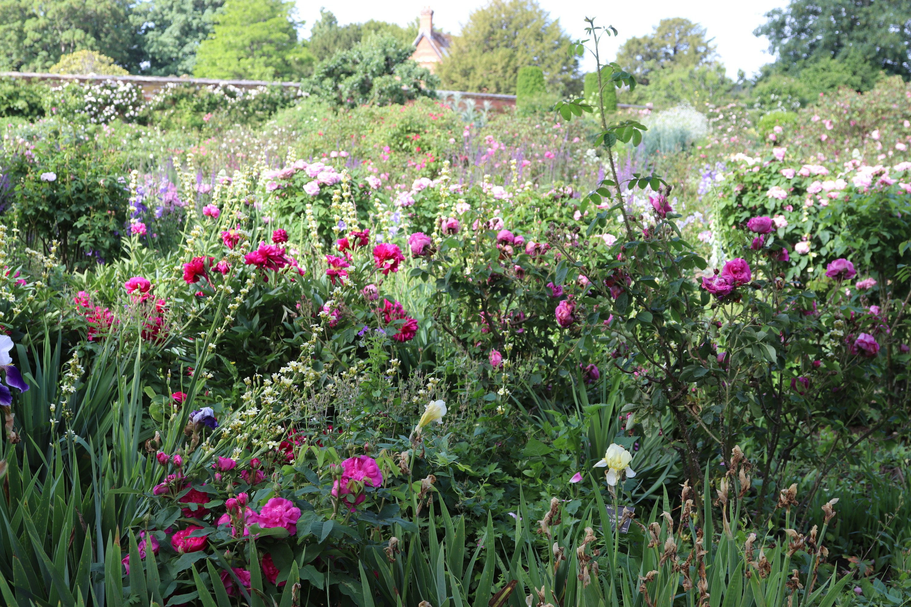 Photo by tanyabarrow