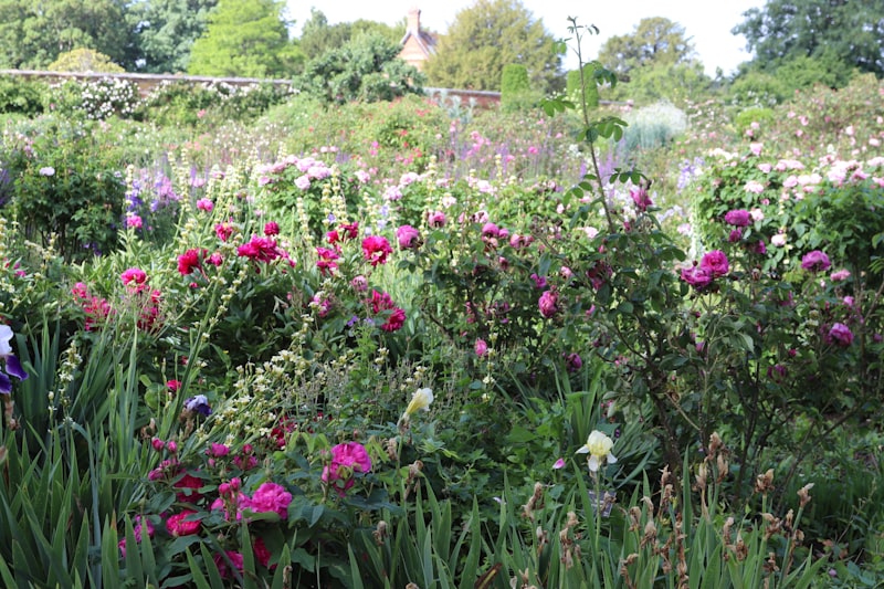 Parterre fleuri coloré et bien agencé