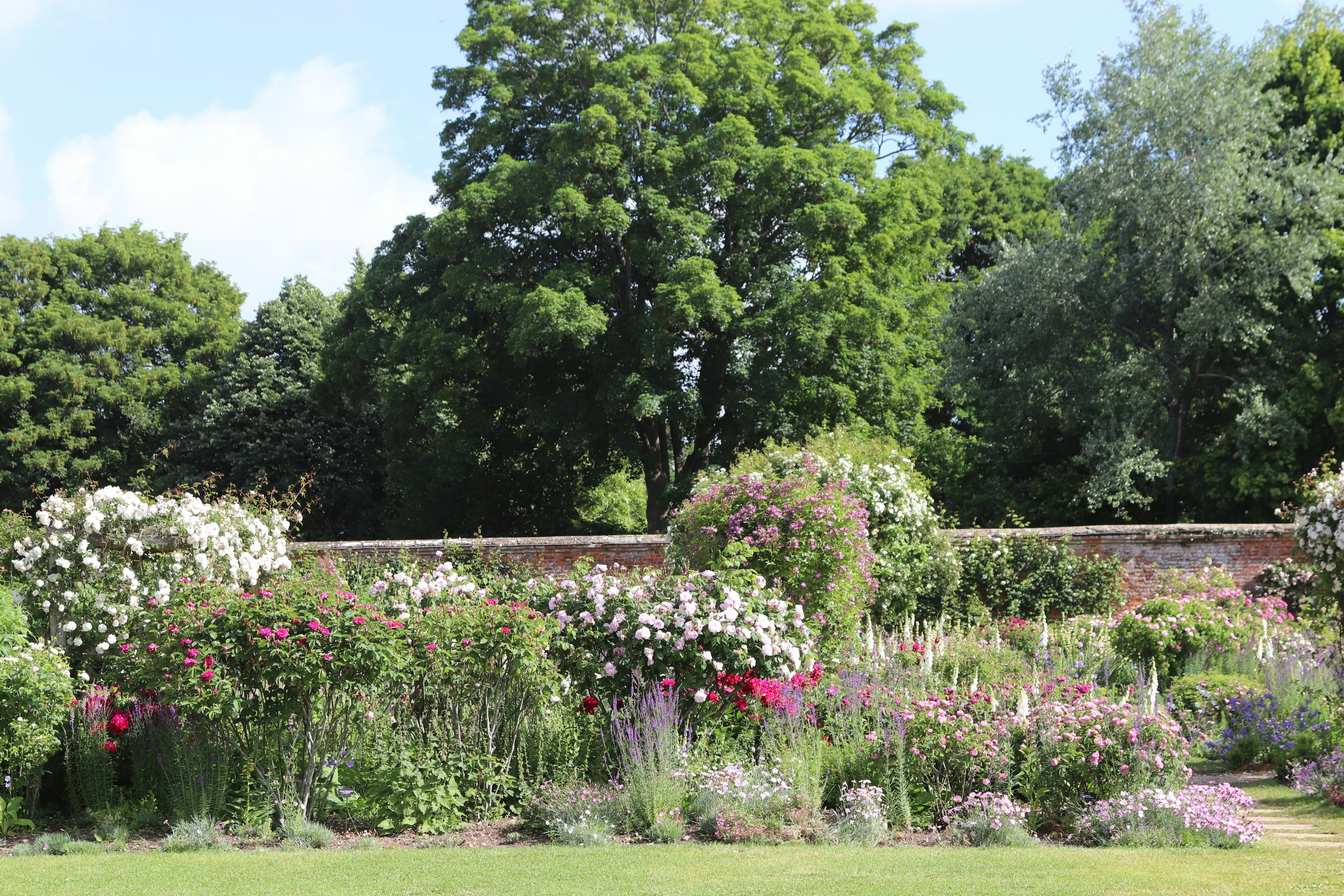 Photo by tanyabarrow