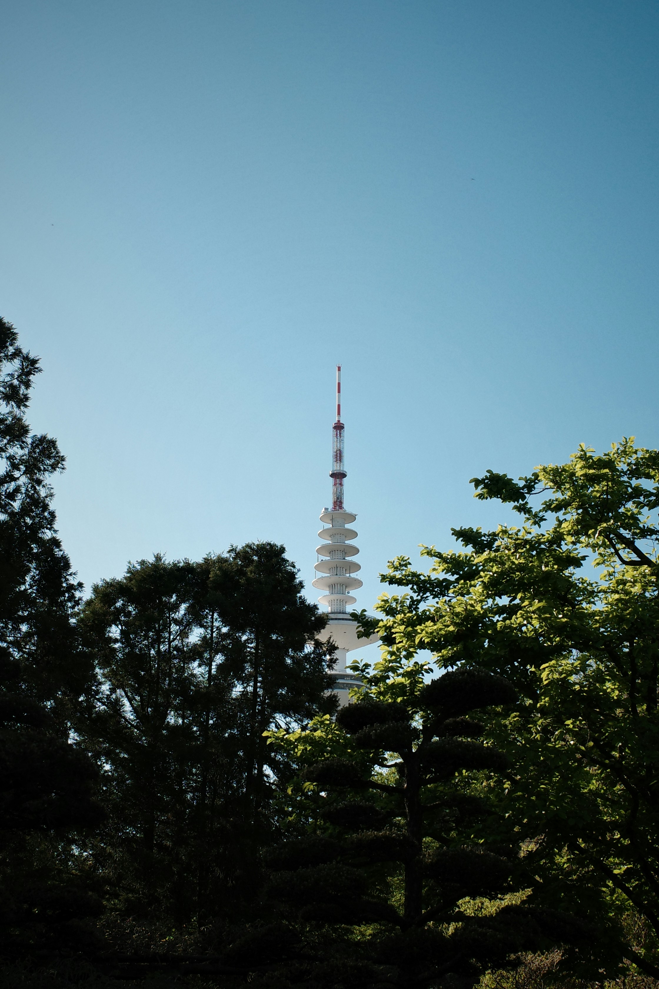 A tall white tower rises above trees.