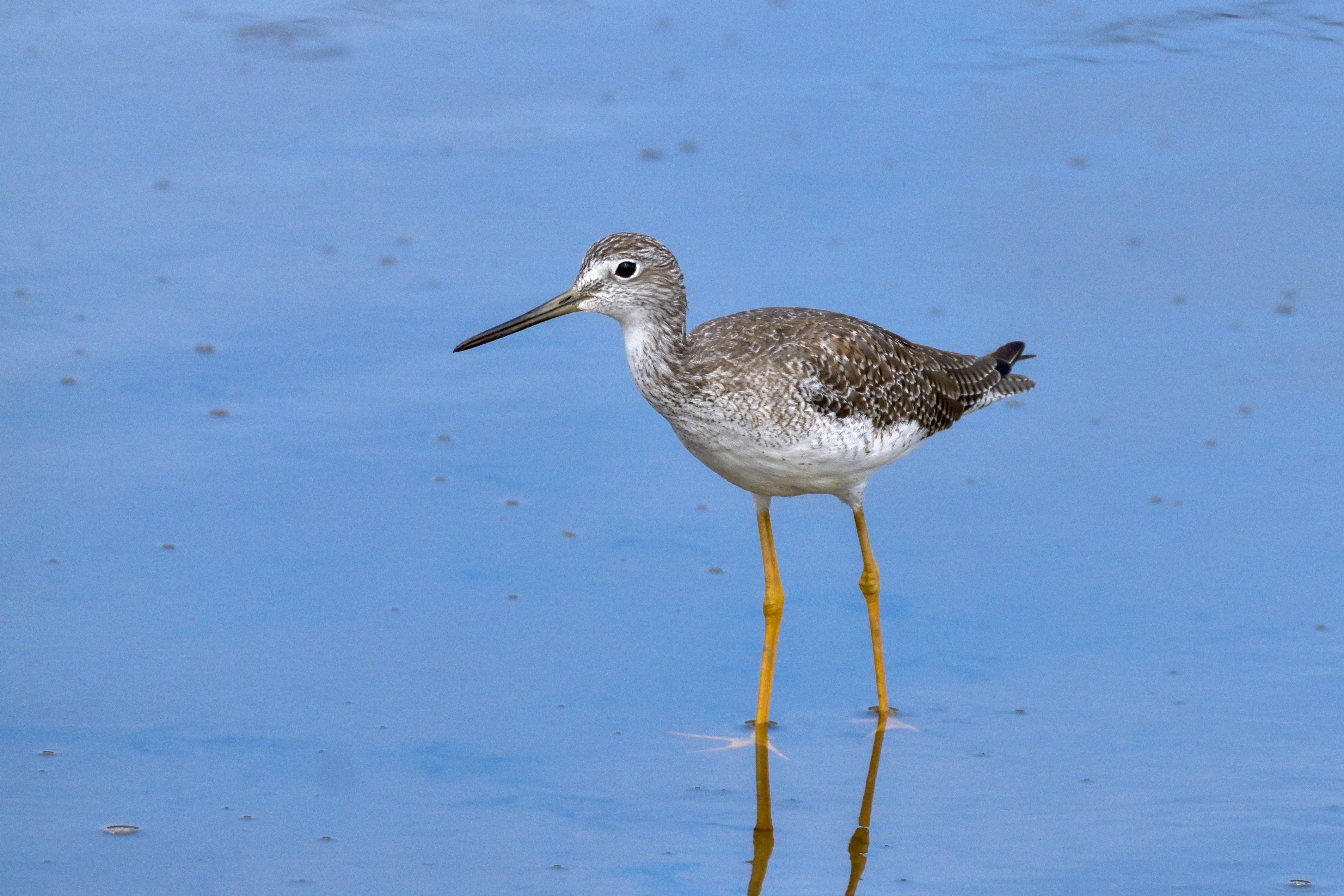 Photo by javiera_neira_f