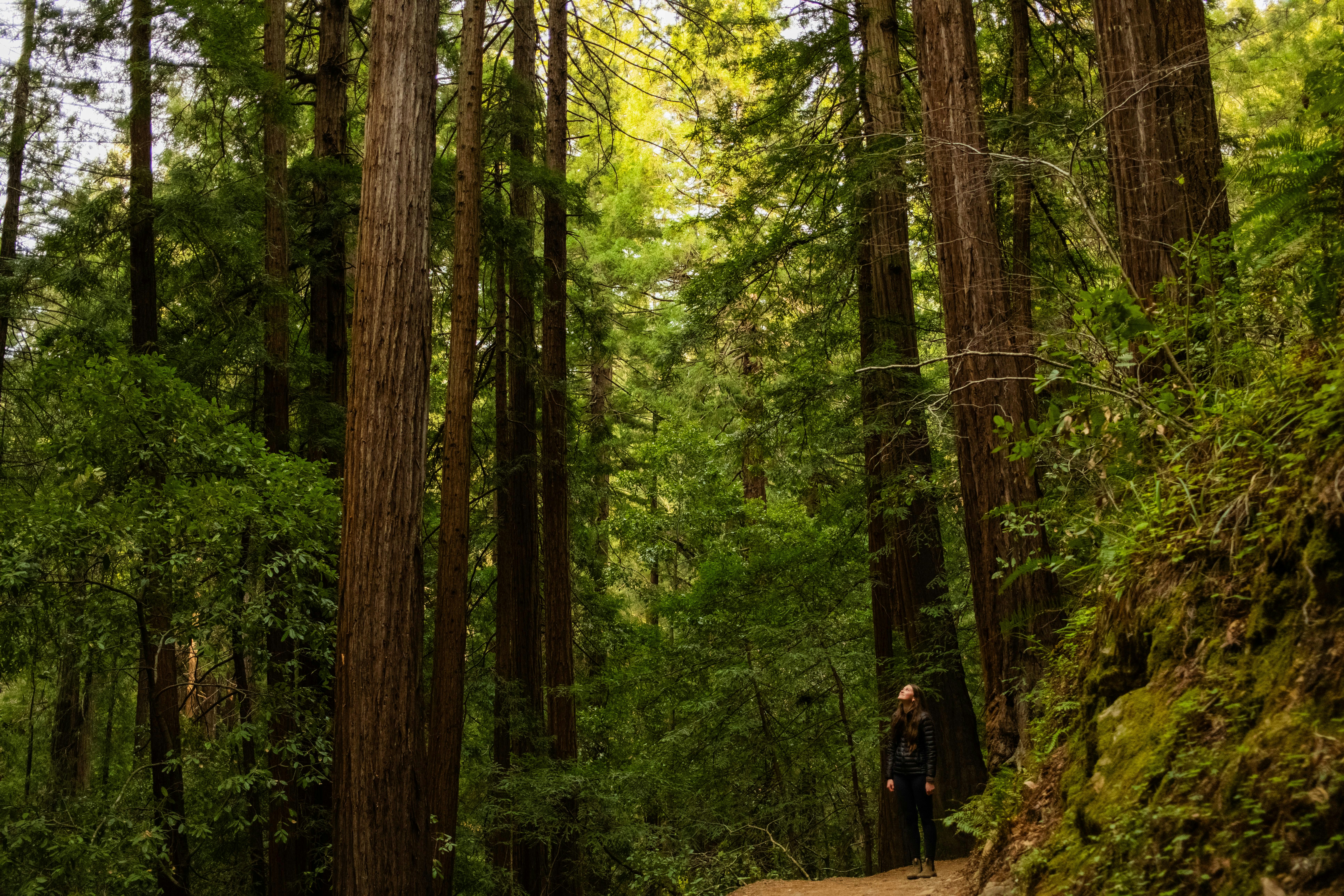 Photo by taylorzannis