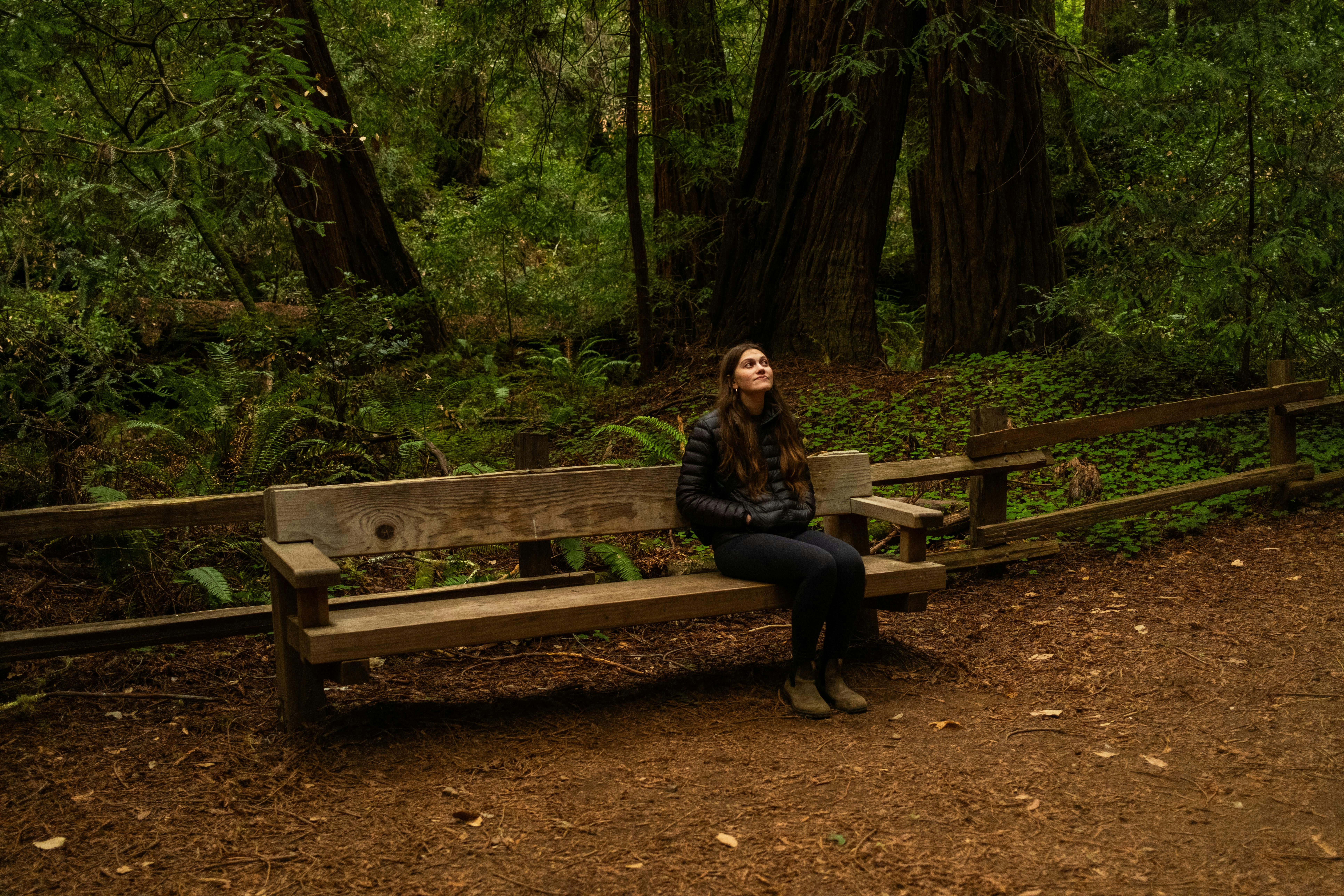 Pacific Park