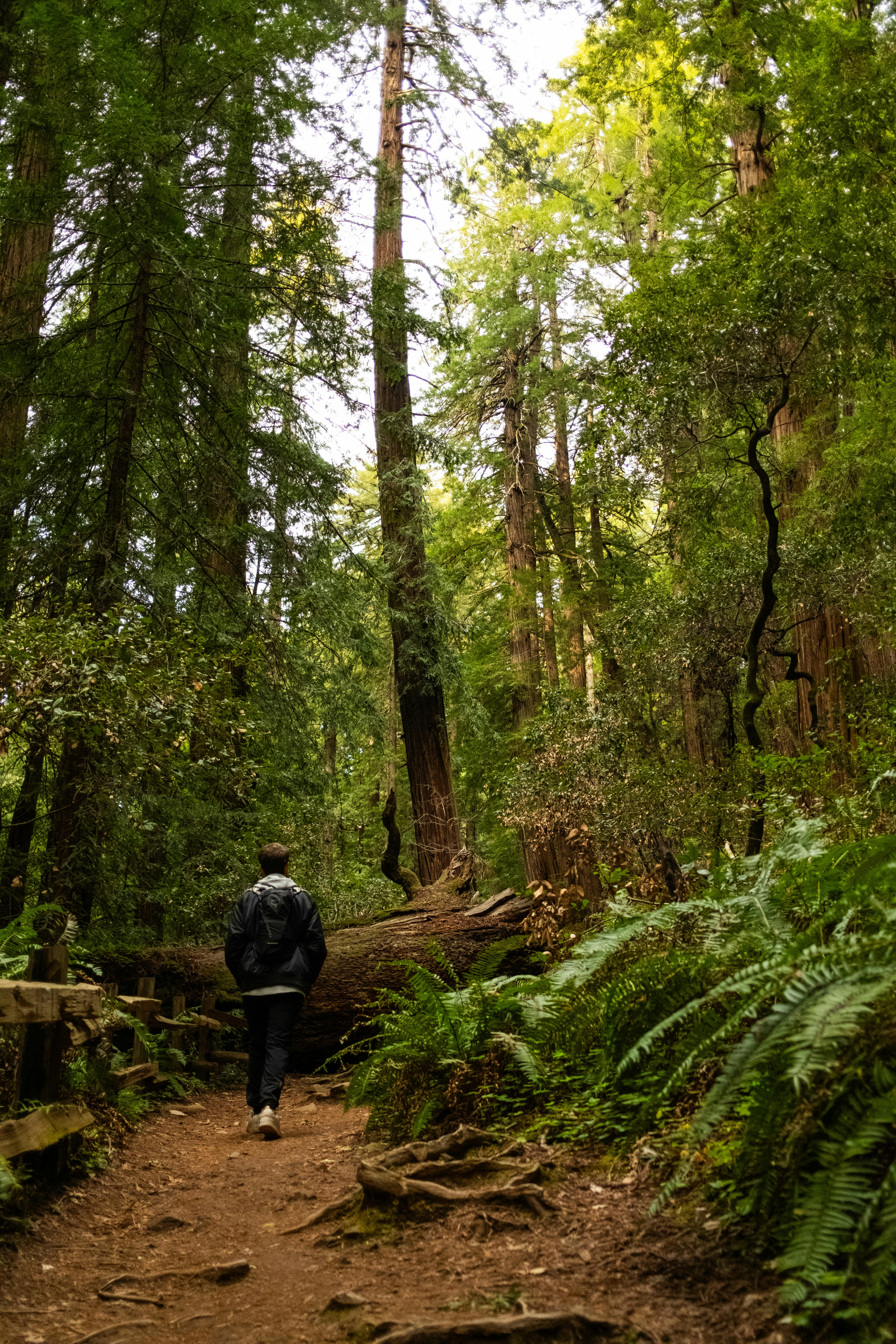 Photo by taylorzannis