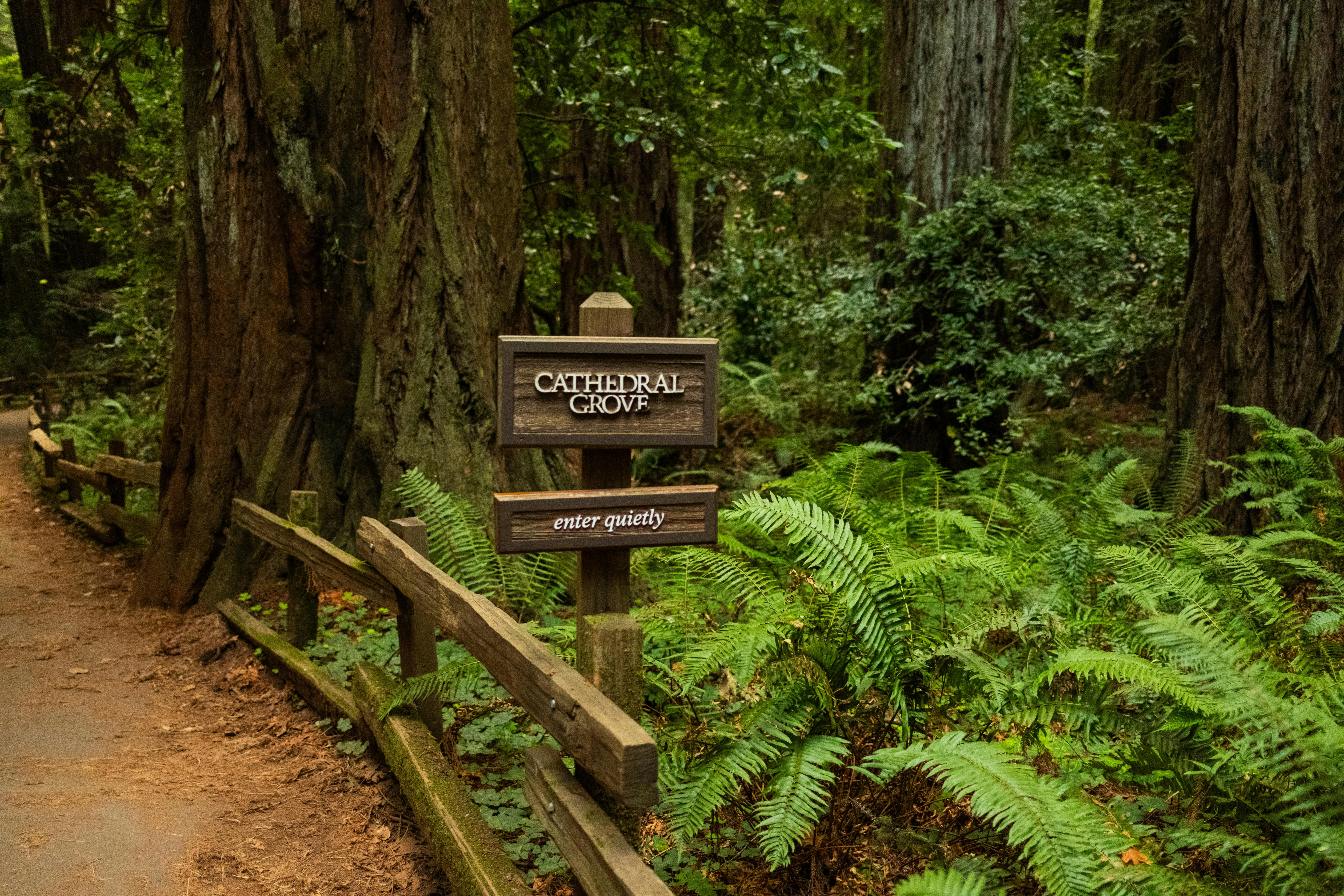 Photo by taylorzannis