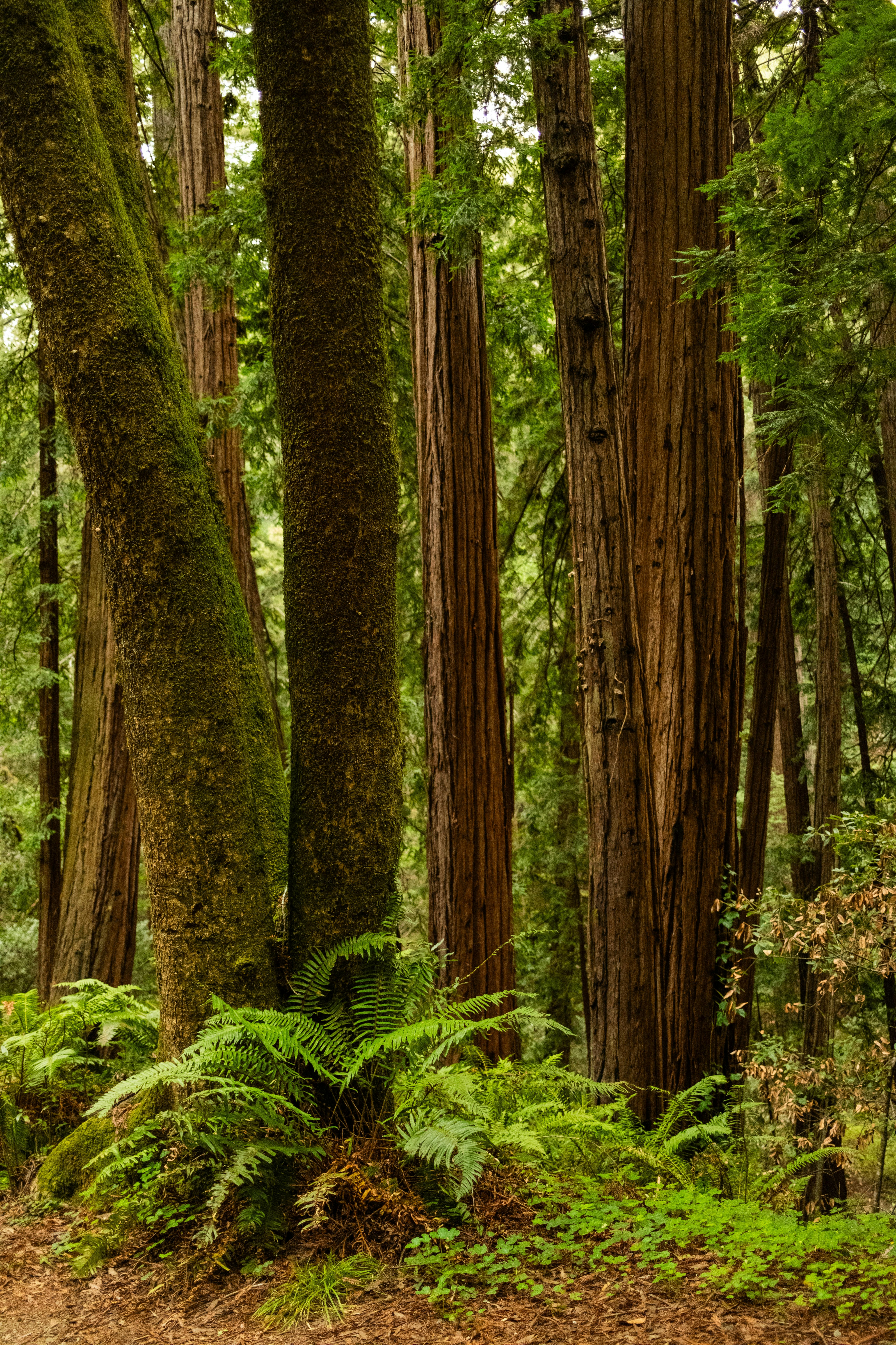 Photo by taylorzannis