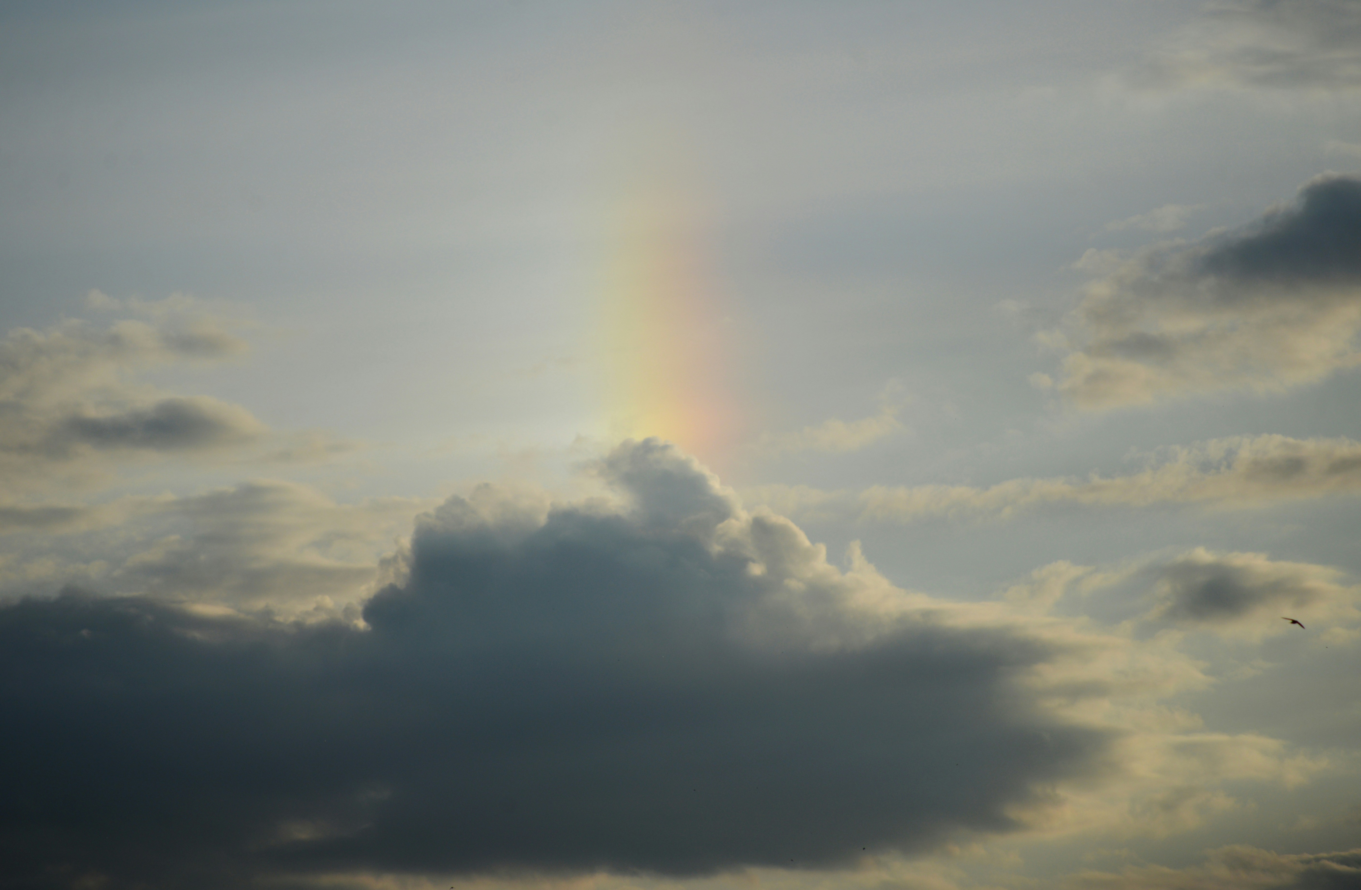 Photo by cherstve_pechivo