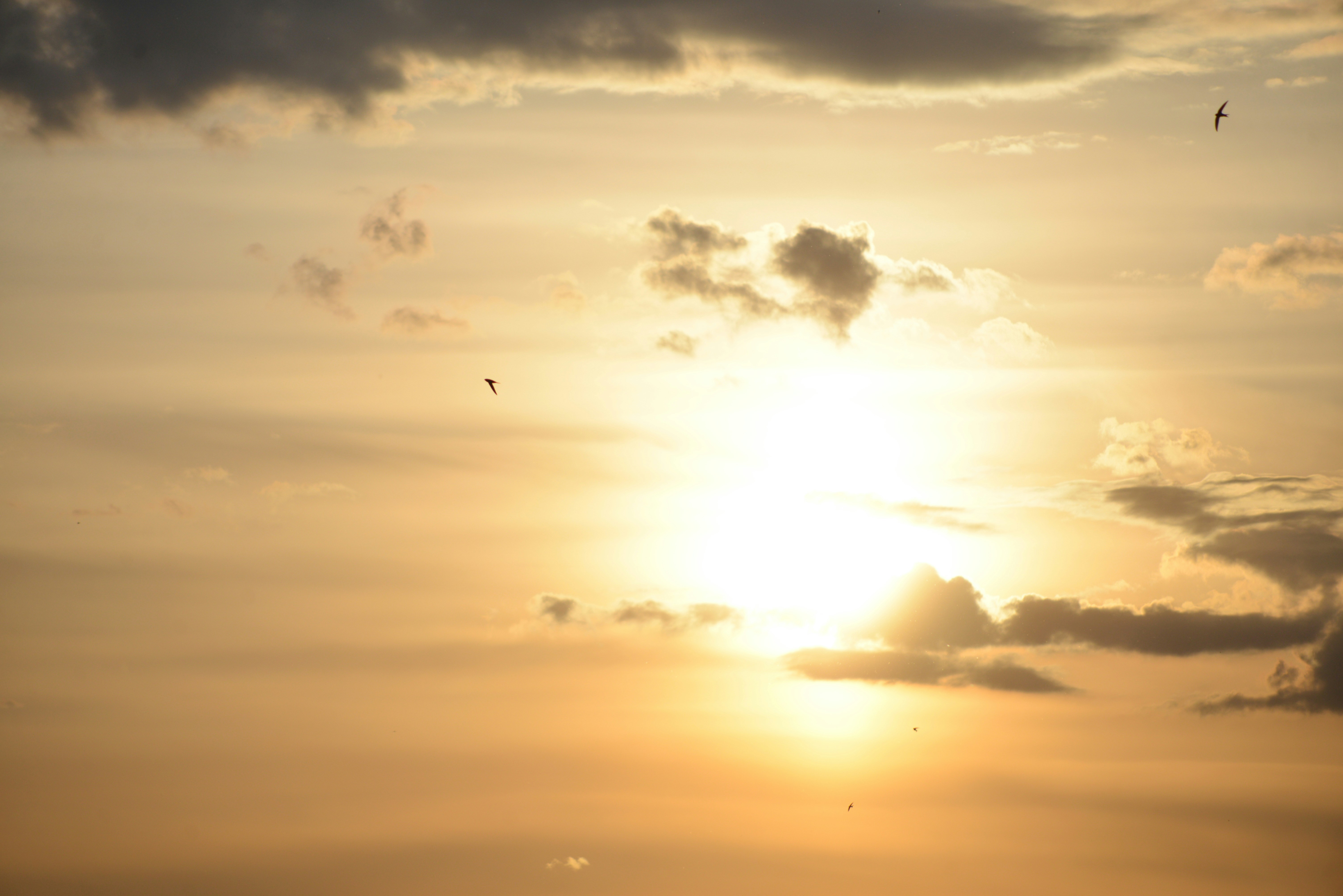 Photo by cherstve_pechivo