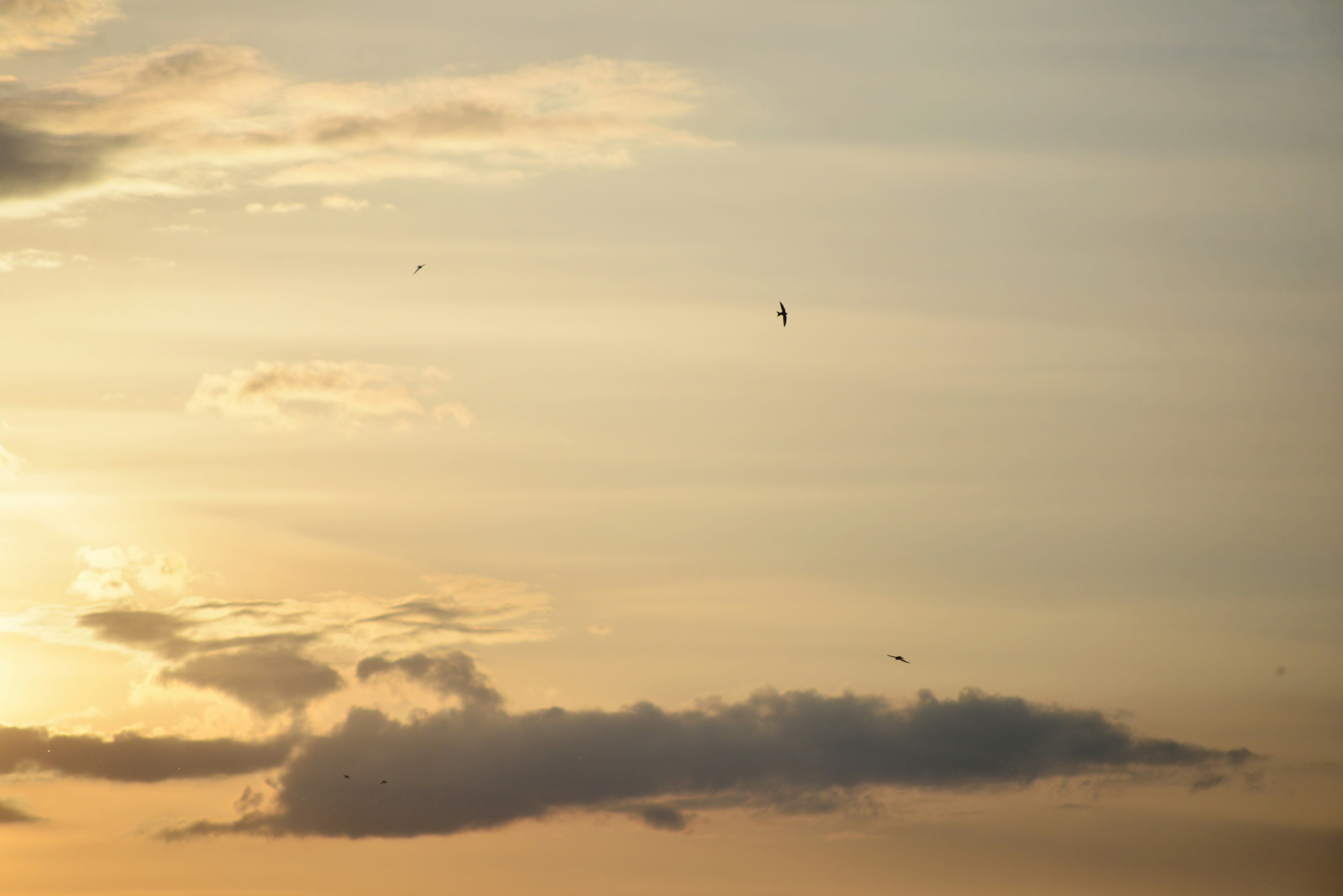 Photo by cherstve_pechivo