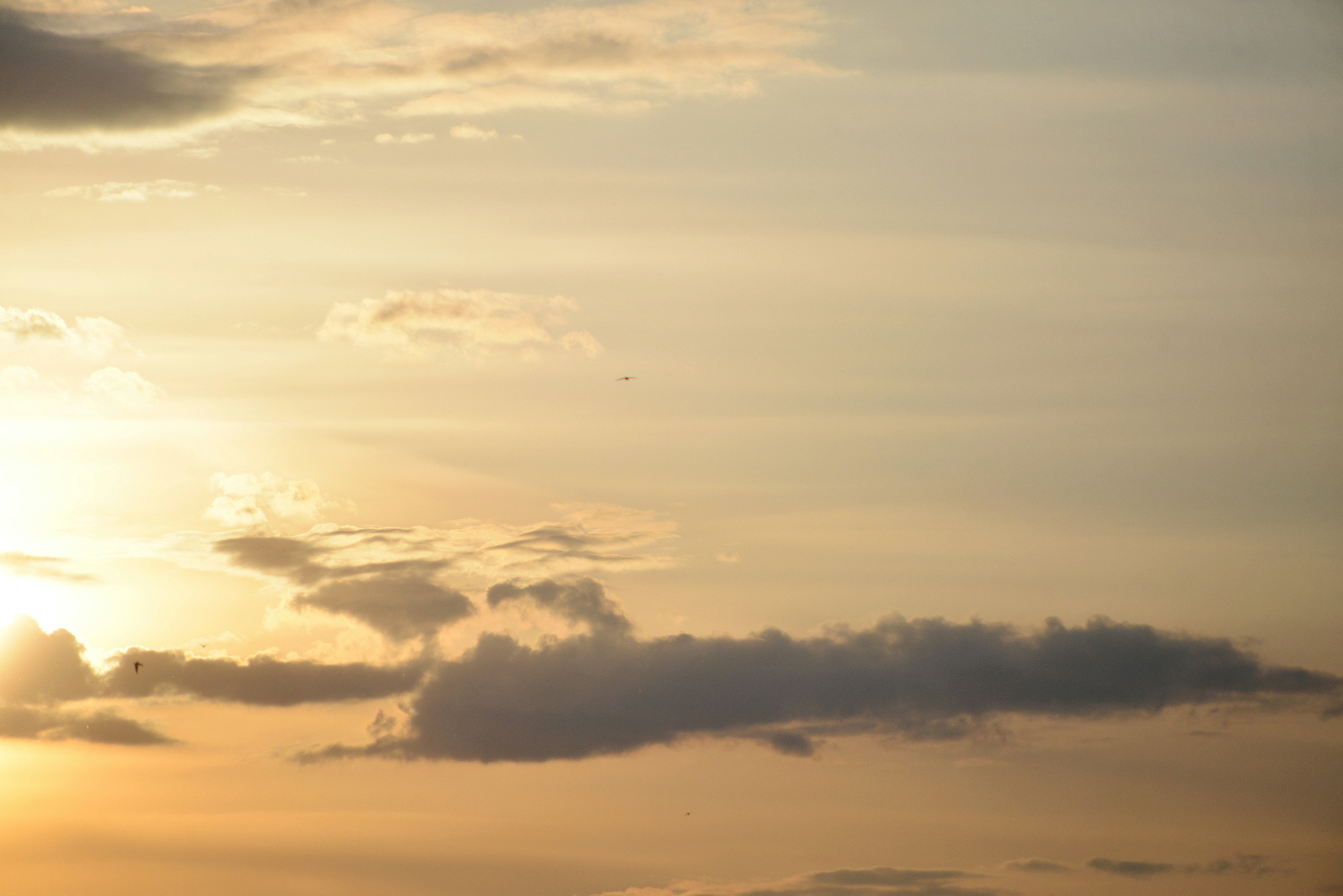 Photo by cherstve_pechivo