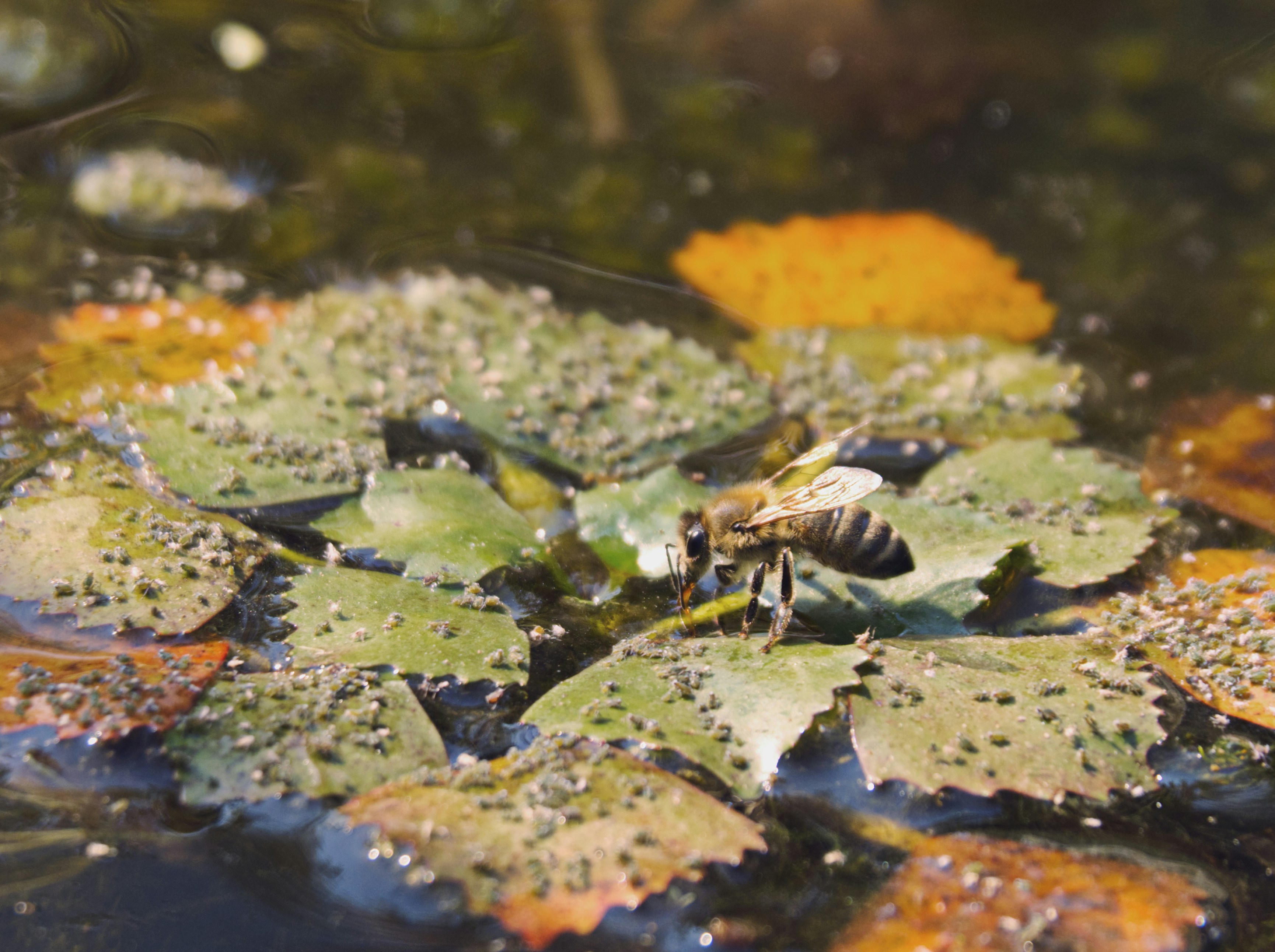 Photo by theskytales