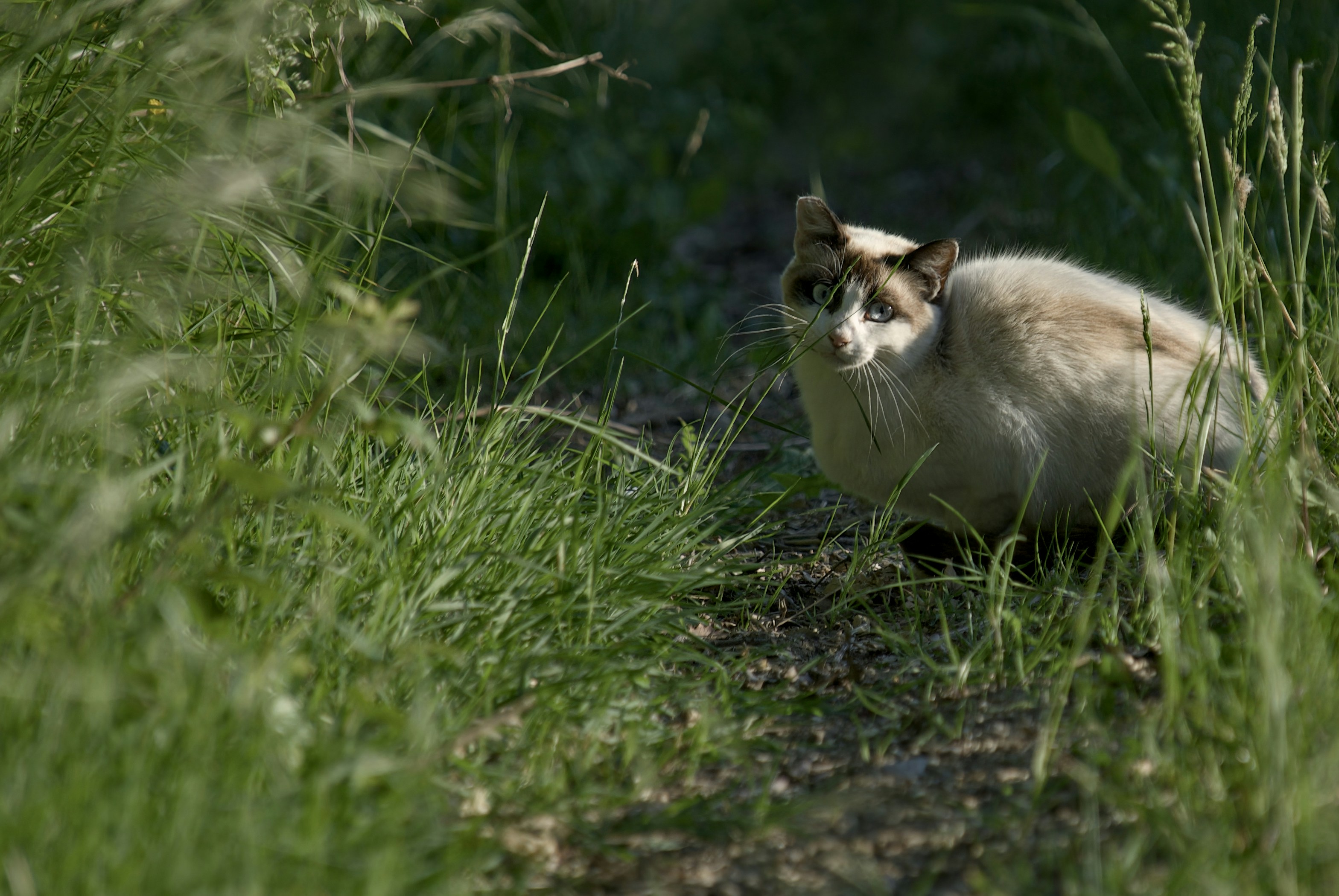 Photo by mariobeducci