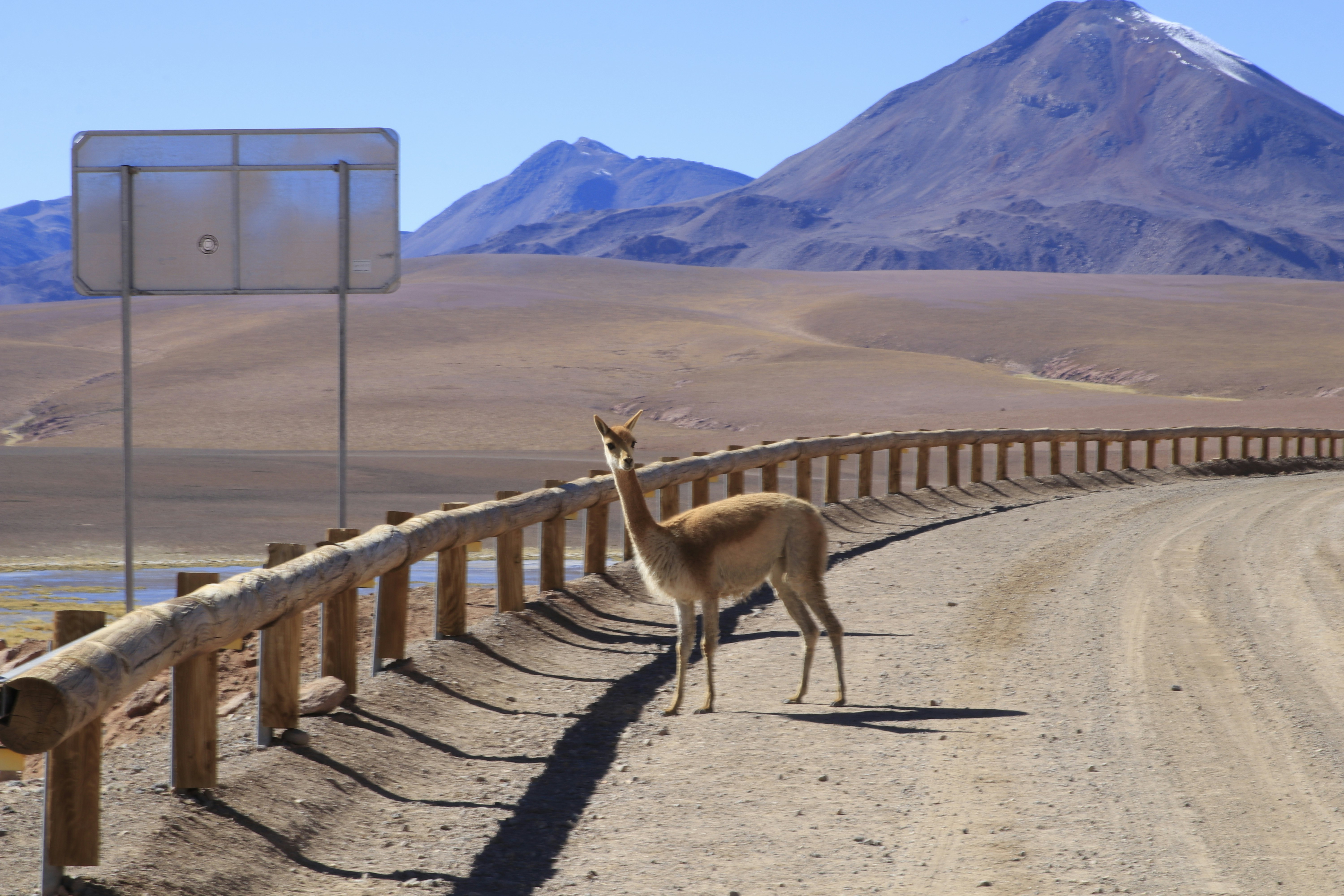 Internet & SIM Cards in San Pedro de Atacama for Travelers (2026)