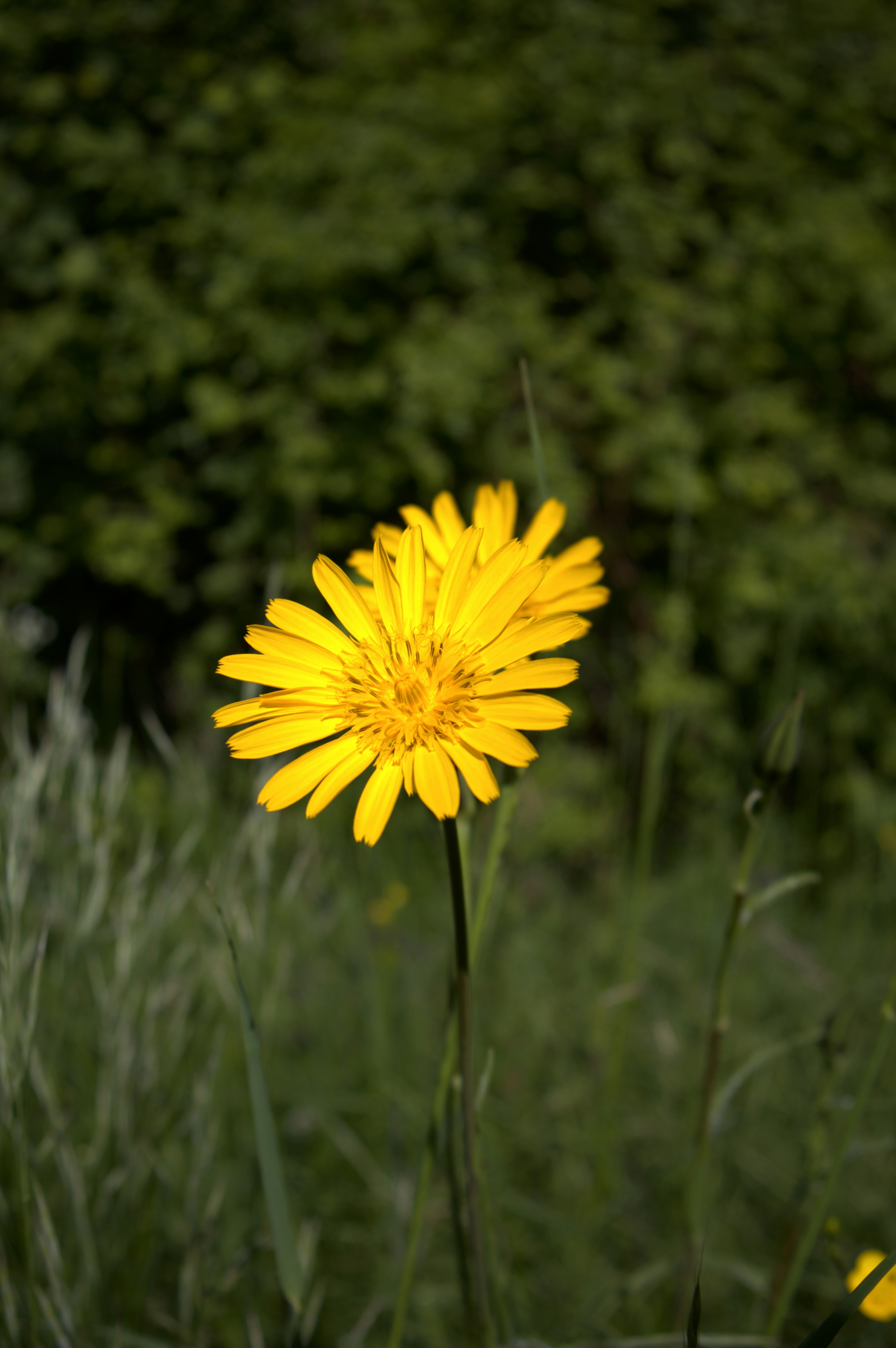 Photo by martin_lednar