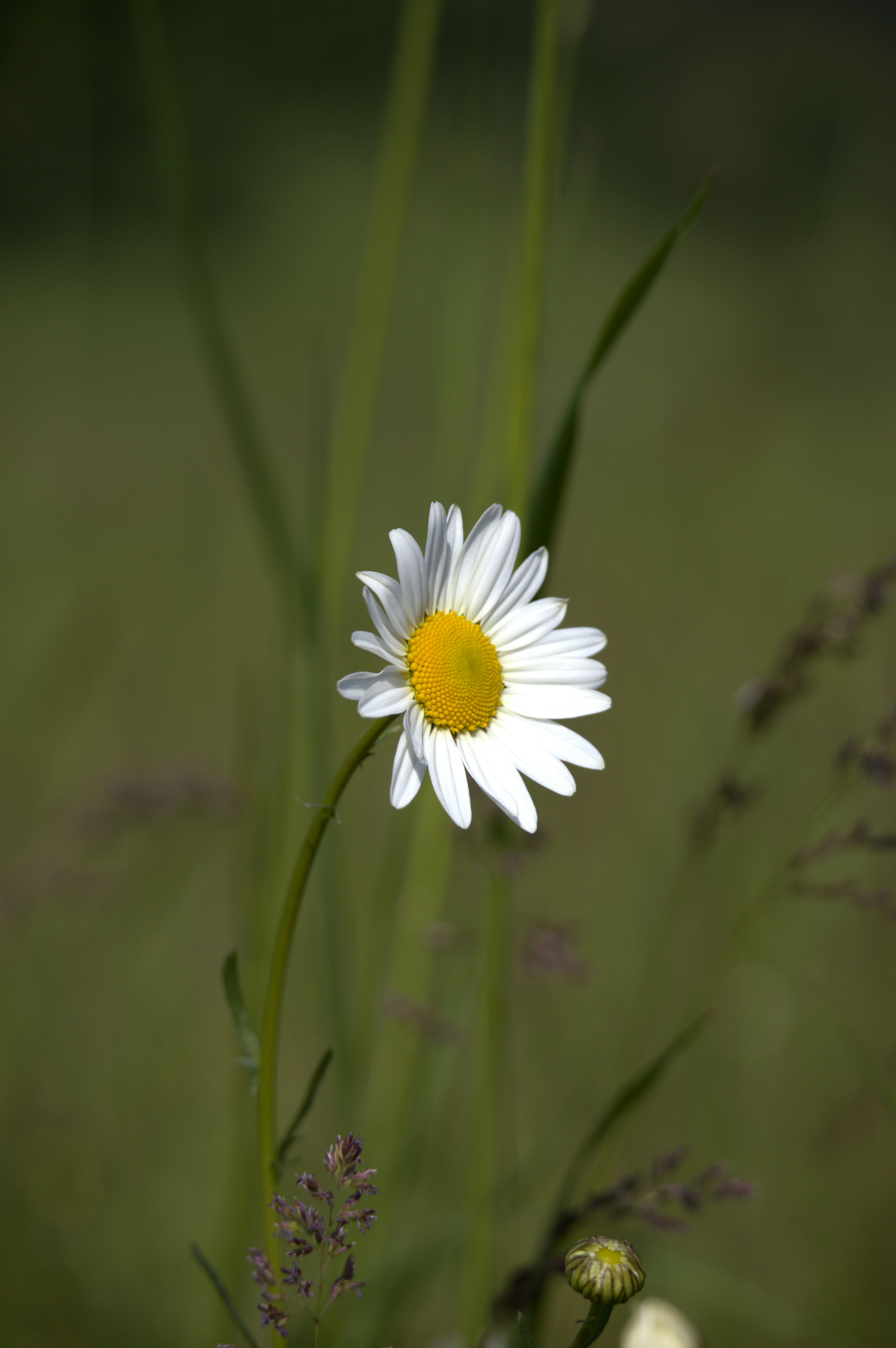 Photo by martin_lednar