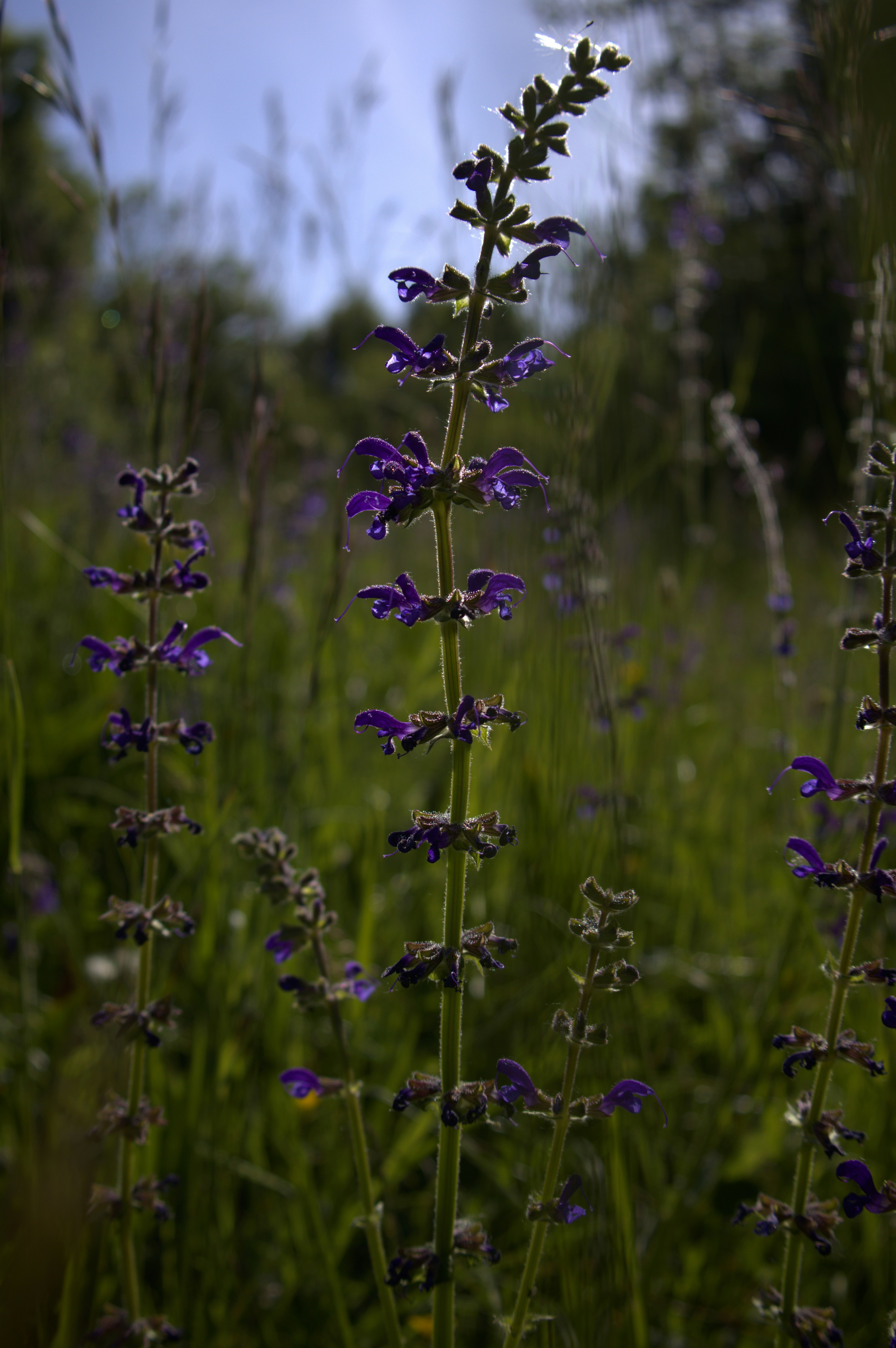 Photo by martin_lednar