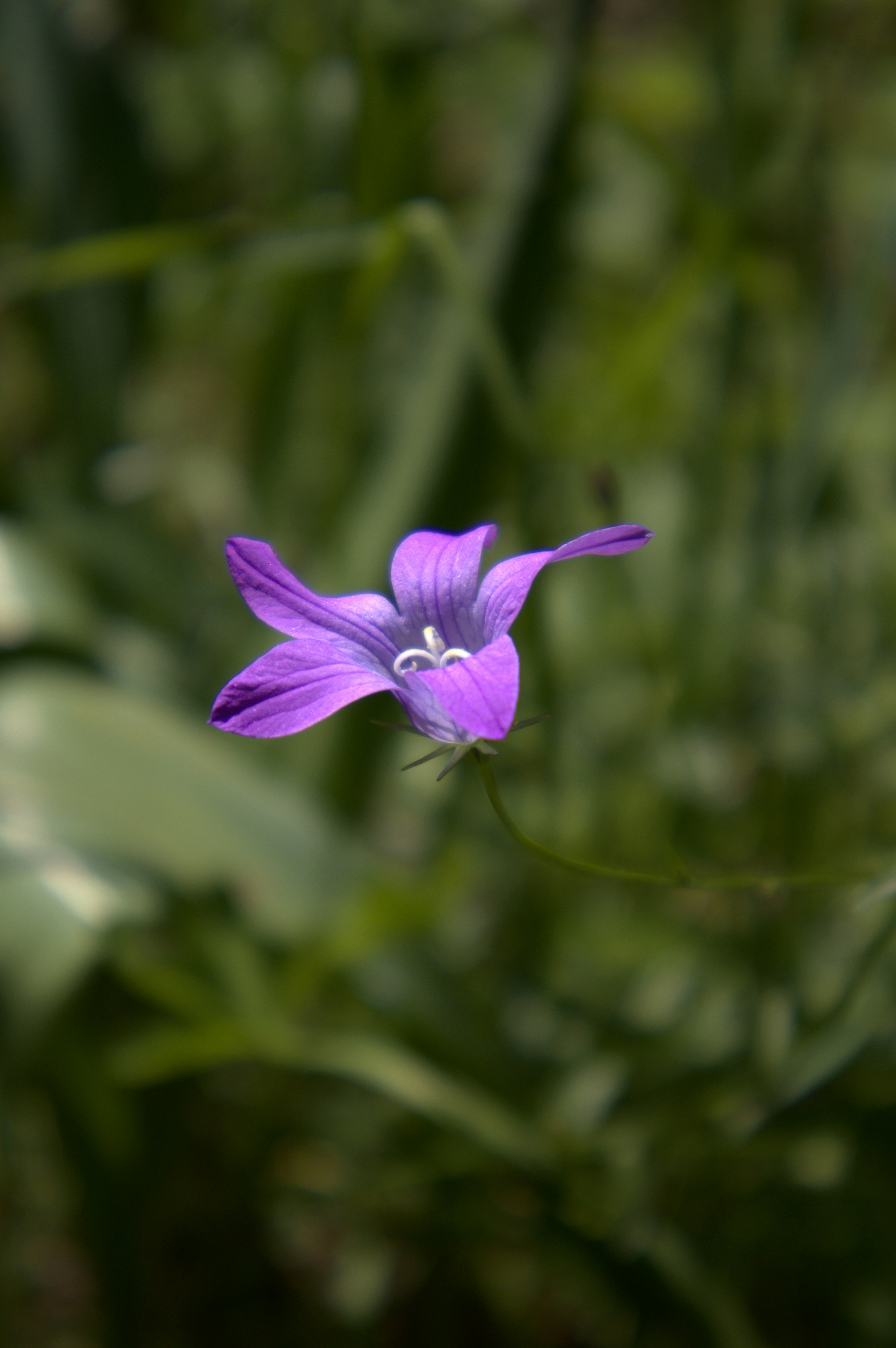 Photo by martin_lednar